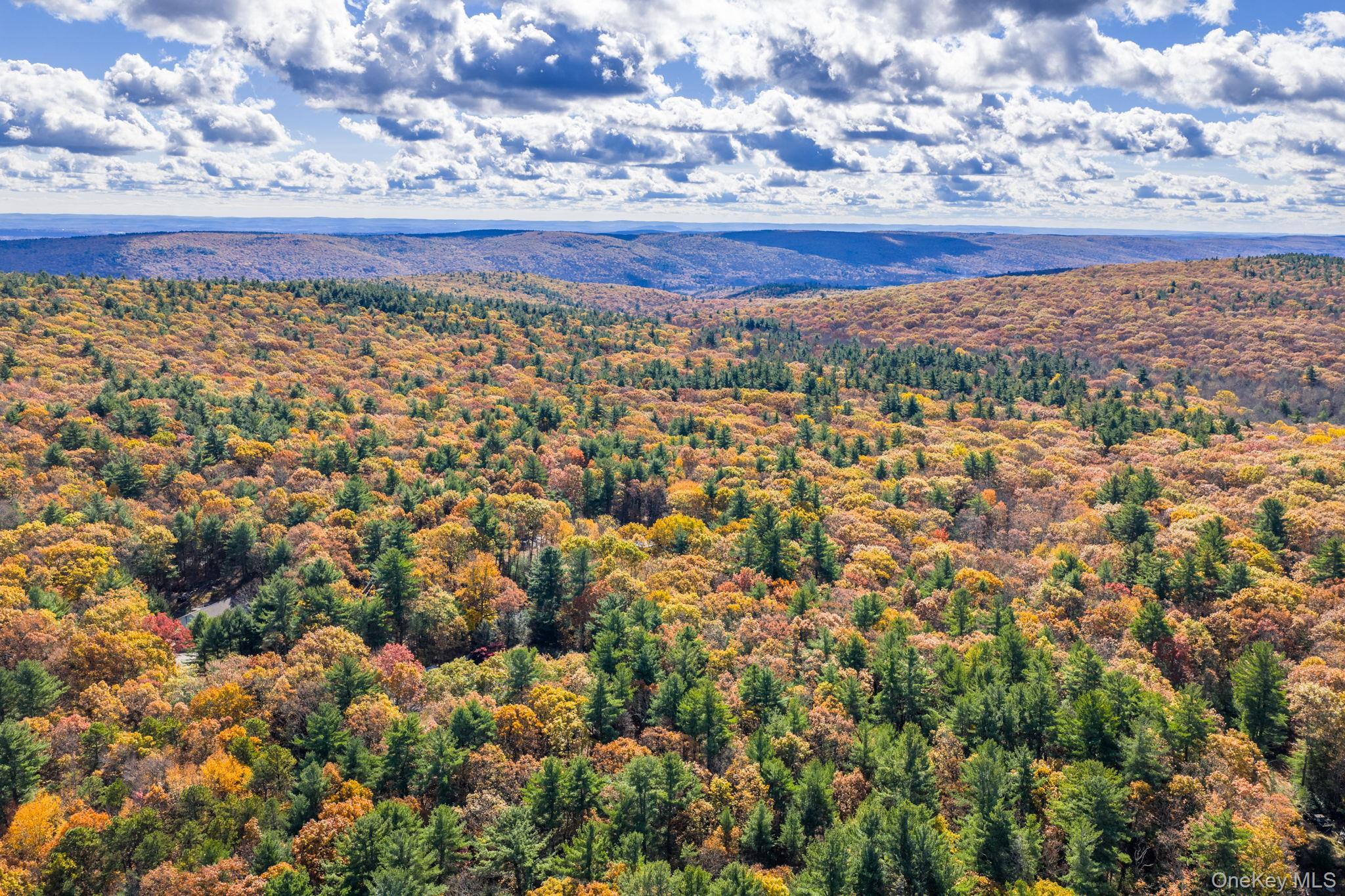 Single Family Florio Earl  Sullivan County, NY 12790, MLS-928973-38