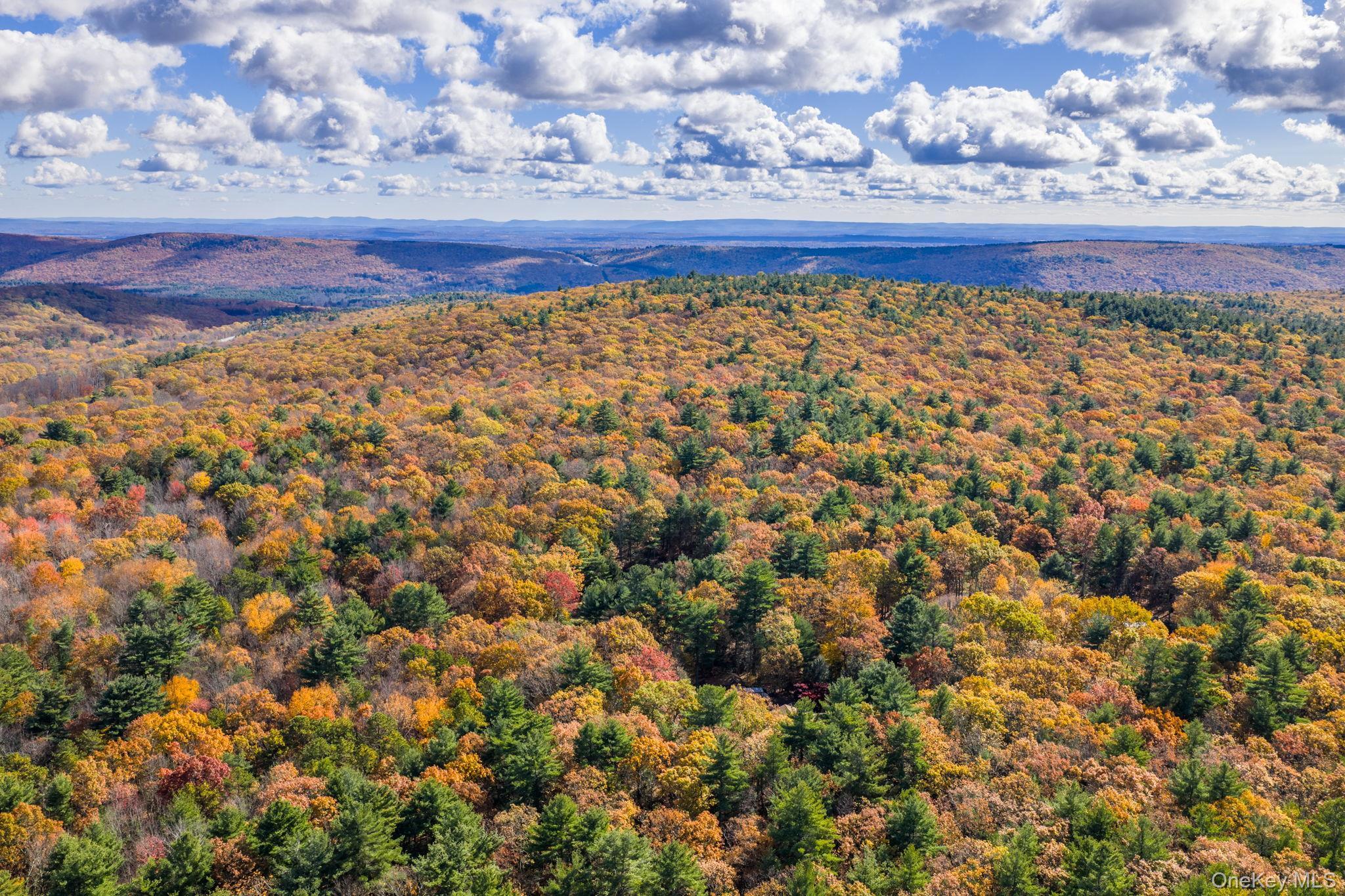 Single Family Florio Earl  Sullivan County, NY 12790, MLS-928973-39