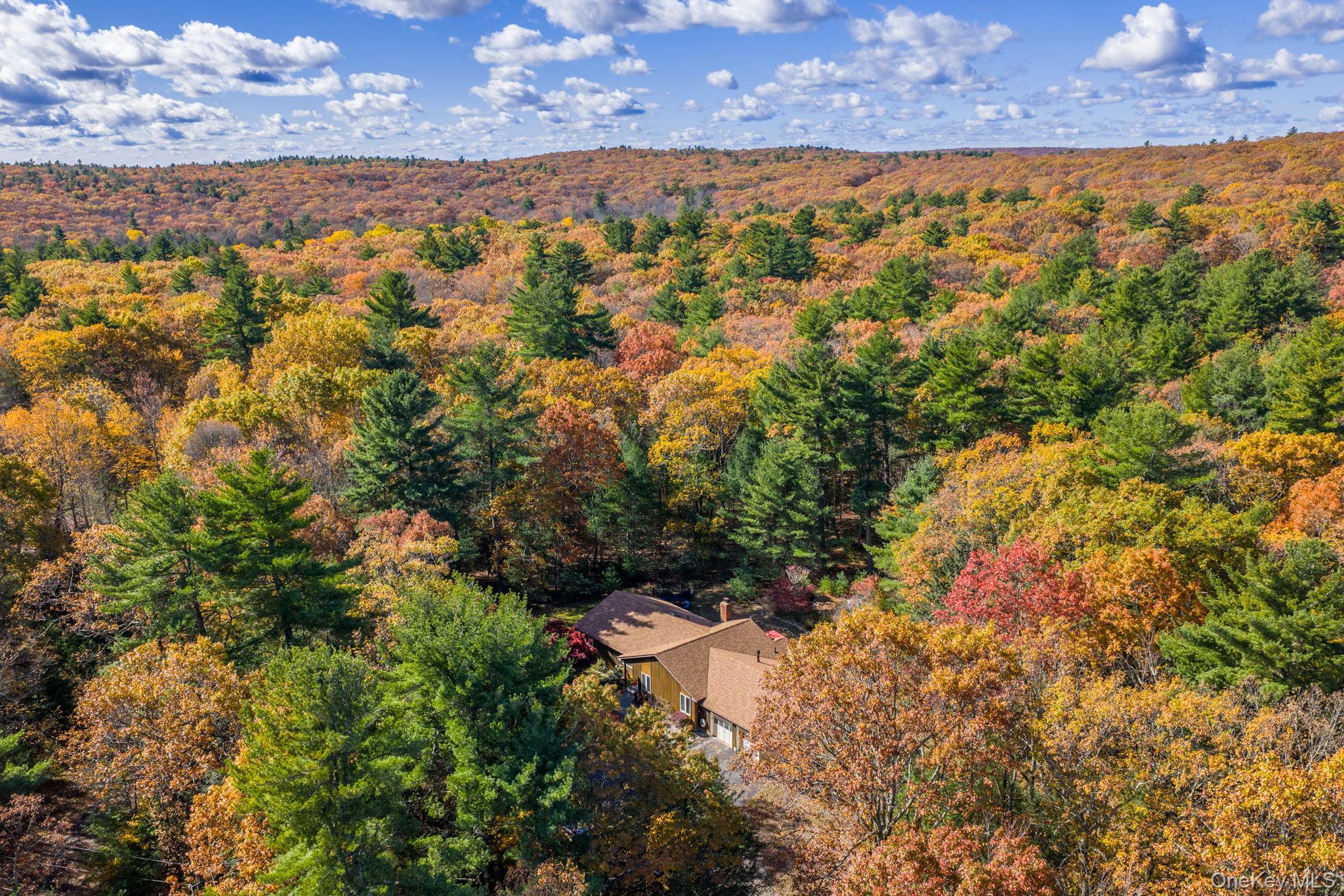 Single Family Florio Earl  Sullivan County, NY 12790, MLS-928973-40
