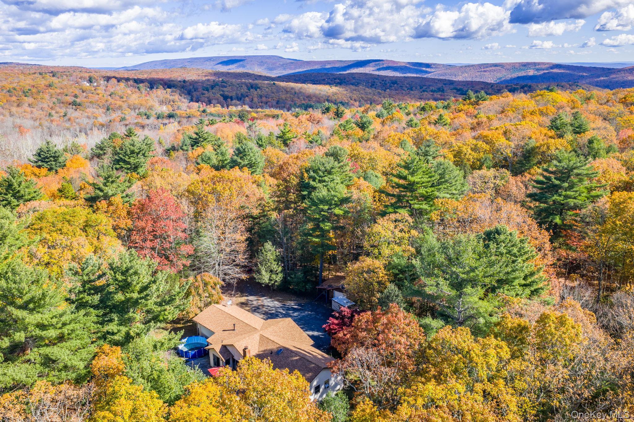 Single Family Florio Earl  Sullivan County, NY 12790, MLS-928973-41