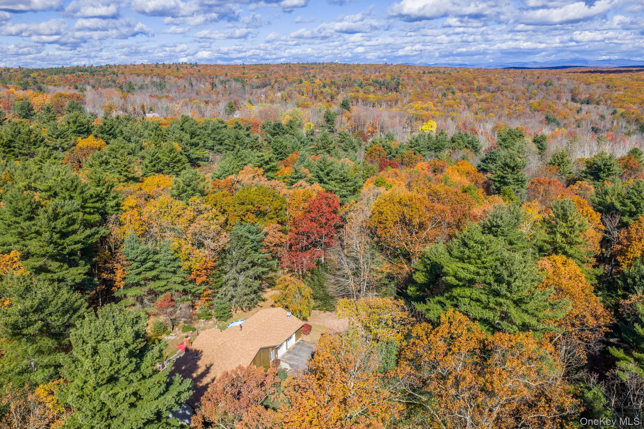 Single Family Florio Earl  Sullivan County, NY 12790, MLS-928973-42