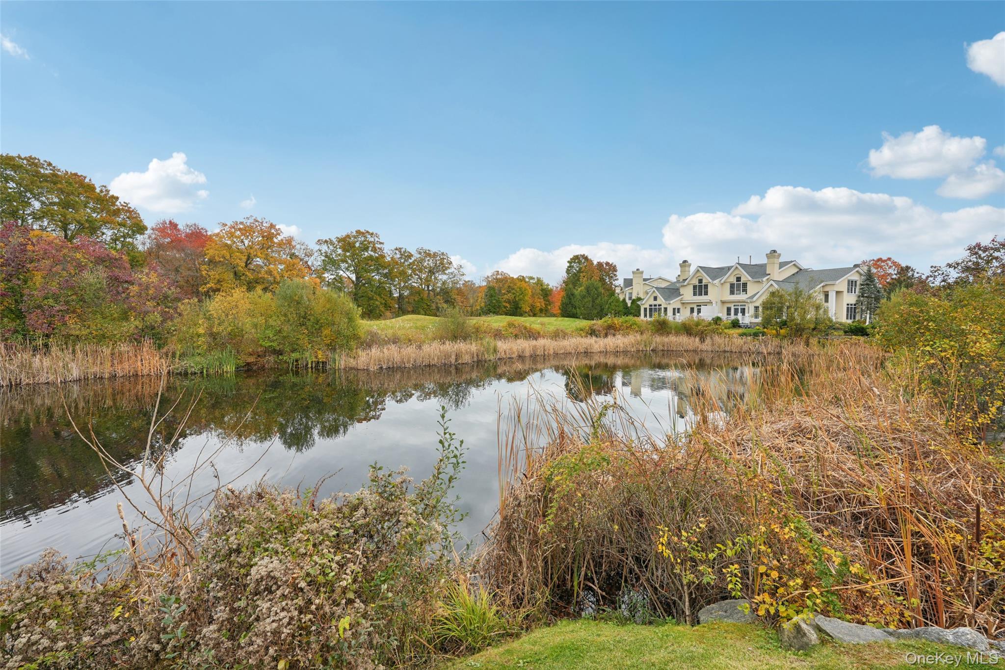 Single Family Arrowwood  Westchester County, NY 10573, MLS-928976-22