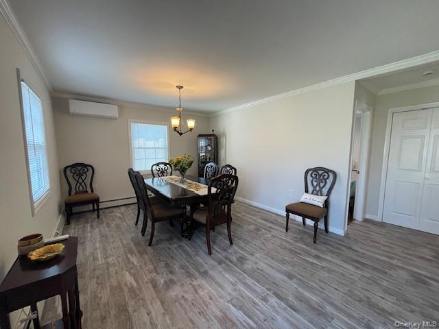 Single Family Old Farm  Nassau County, NY 11756, MLS-928999-6