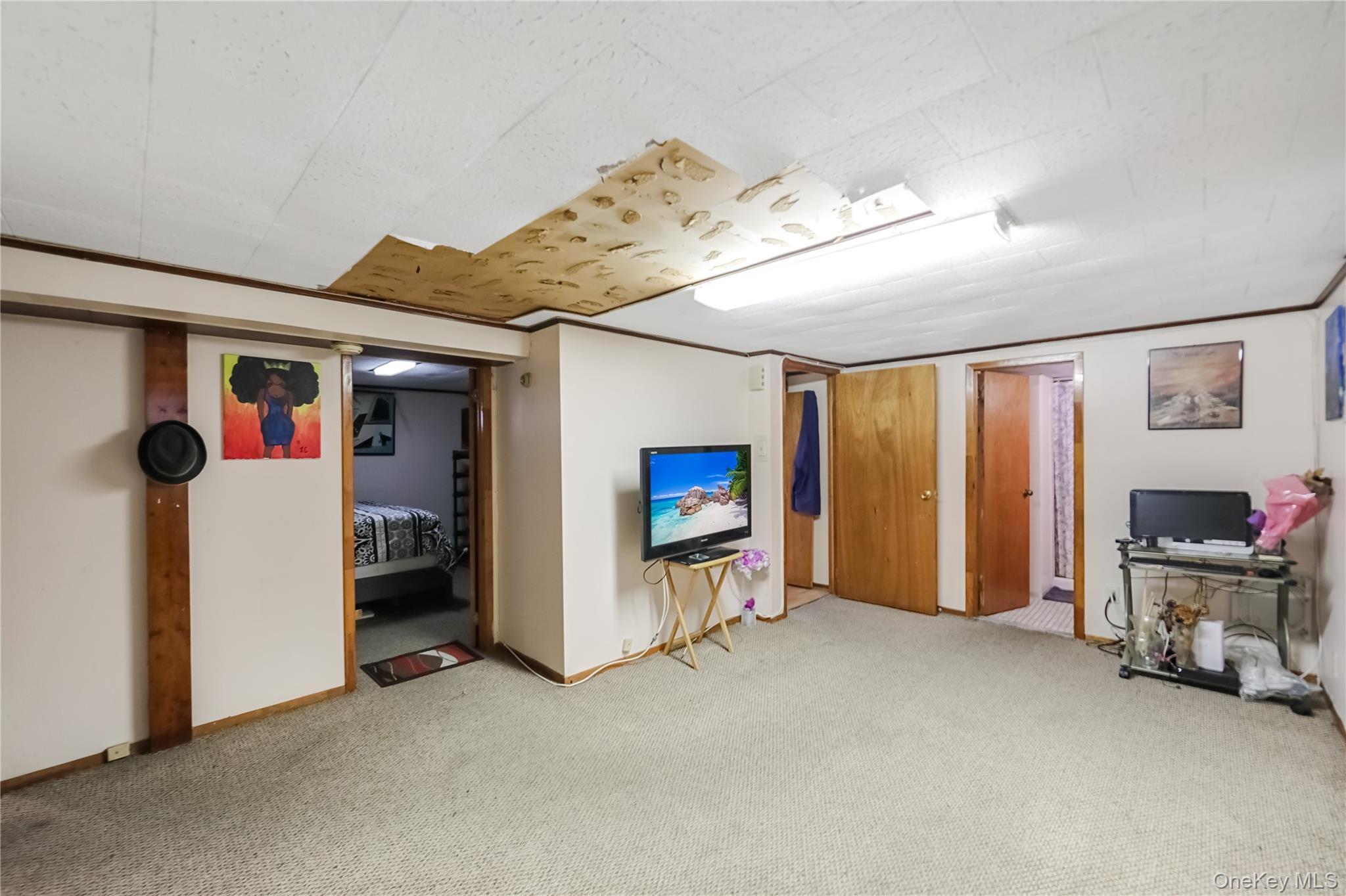 Single Family 230th  Queens, NY 11411, MLS-929014-22