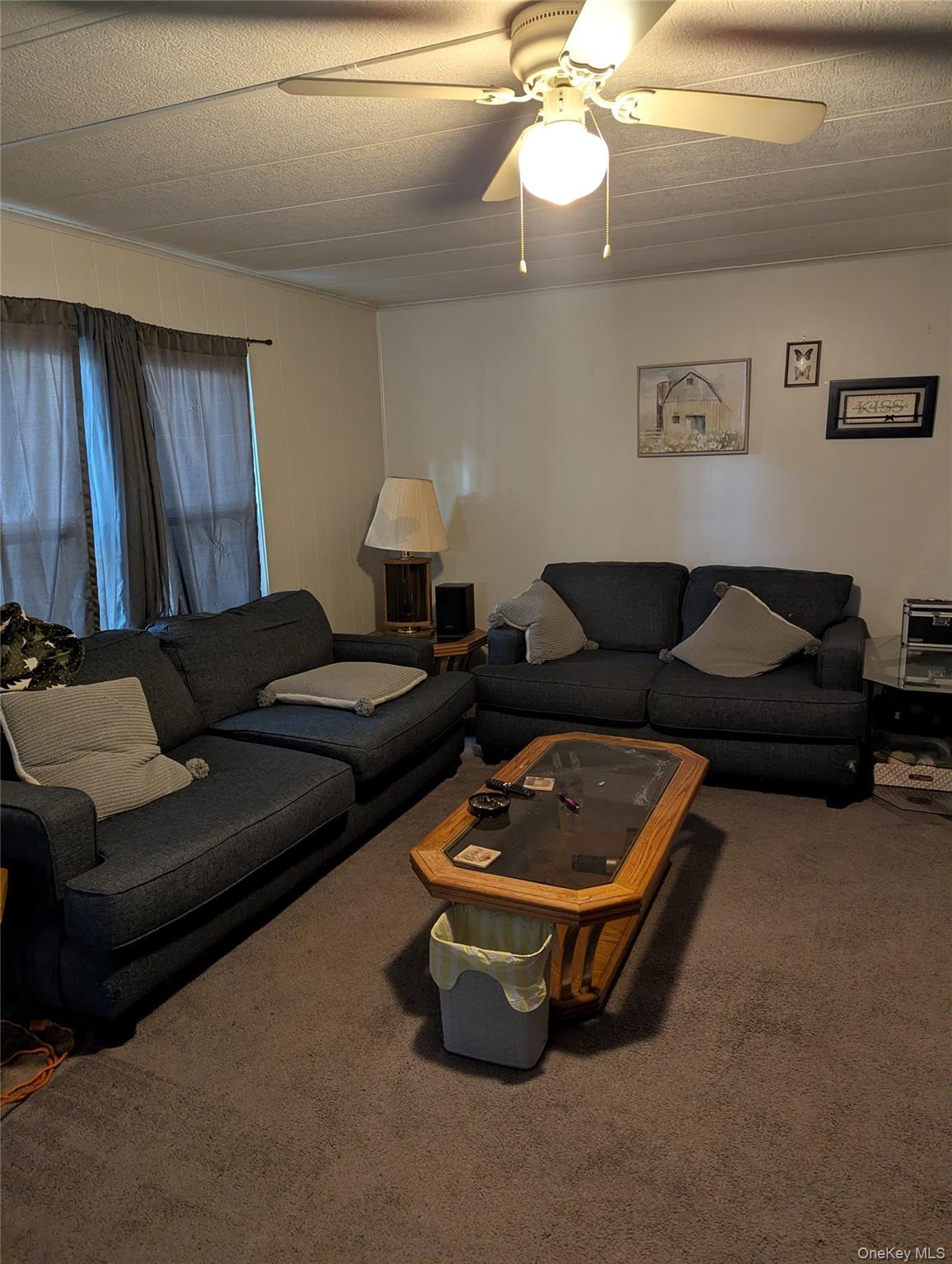 Single Family Ruby  Ulster County, NY 12401, MLS-929249-12