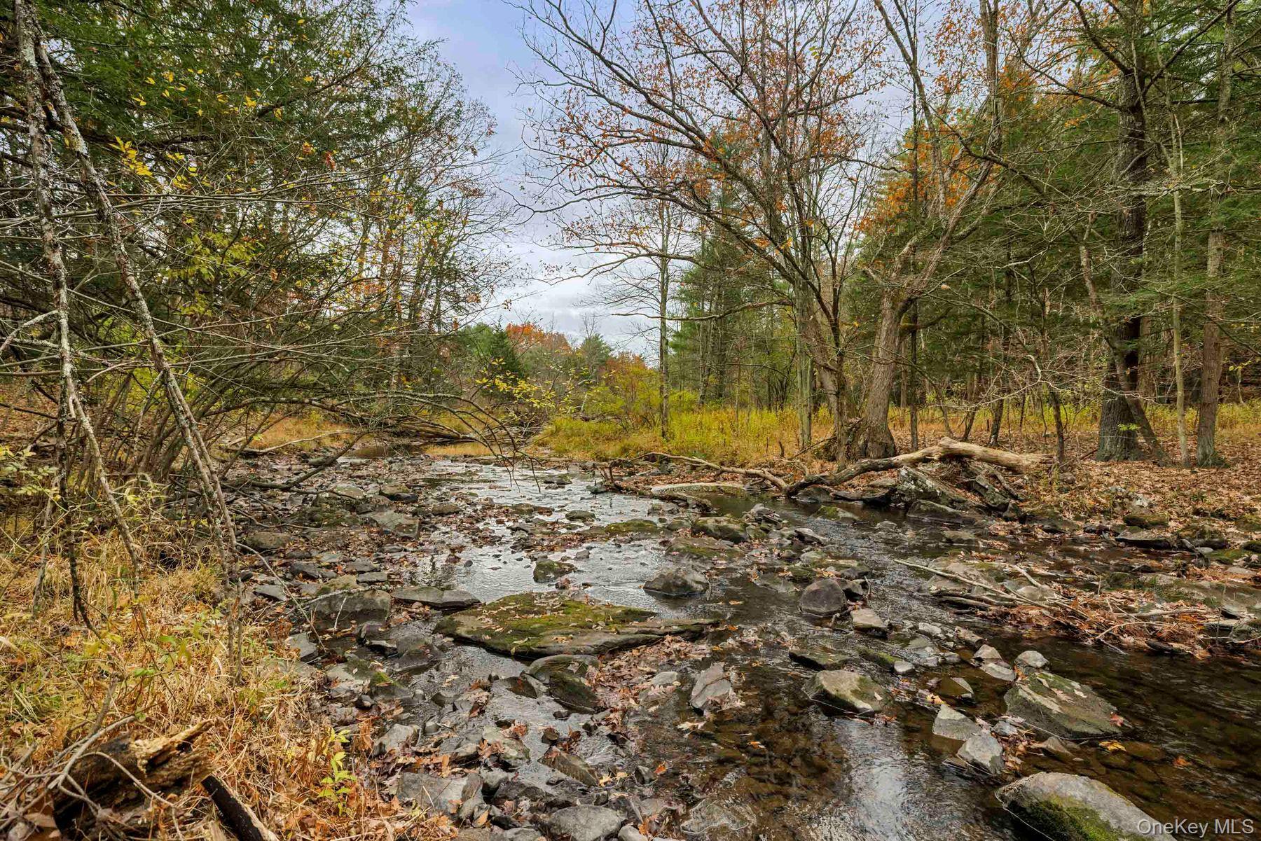 Single Family Mountain  Greene County, NY 12051, MLS-929271-10