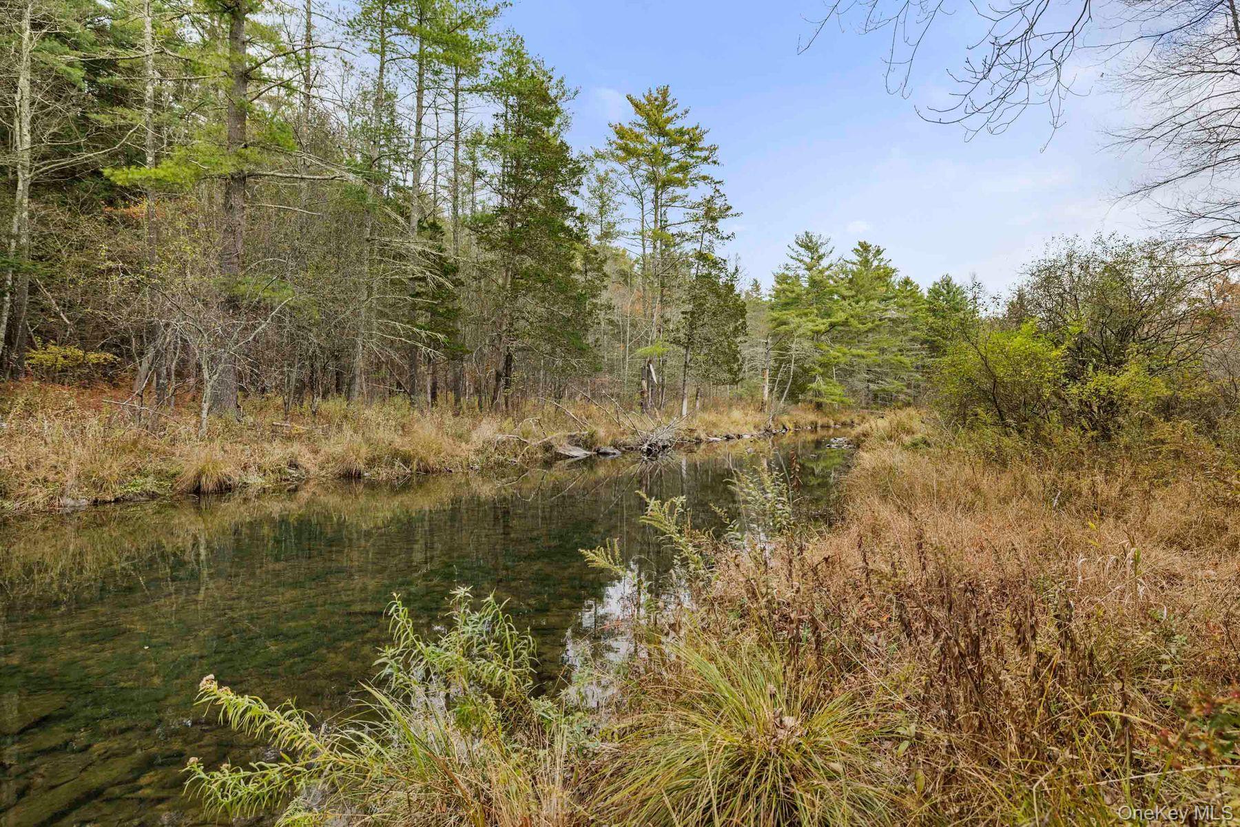 Single Family Mountain  Greene County, NY 12051, MLS-929271-11