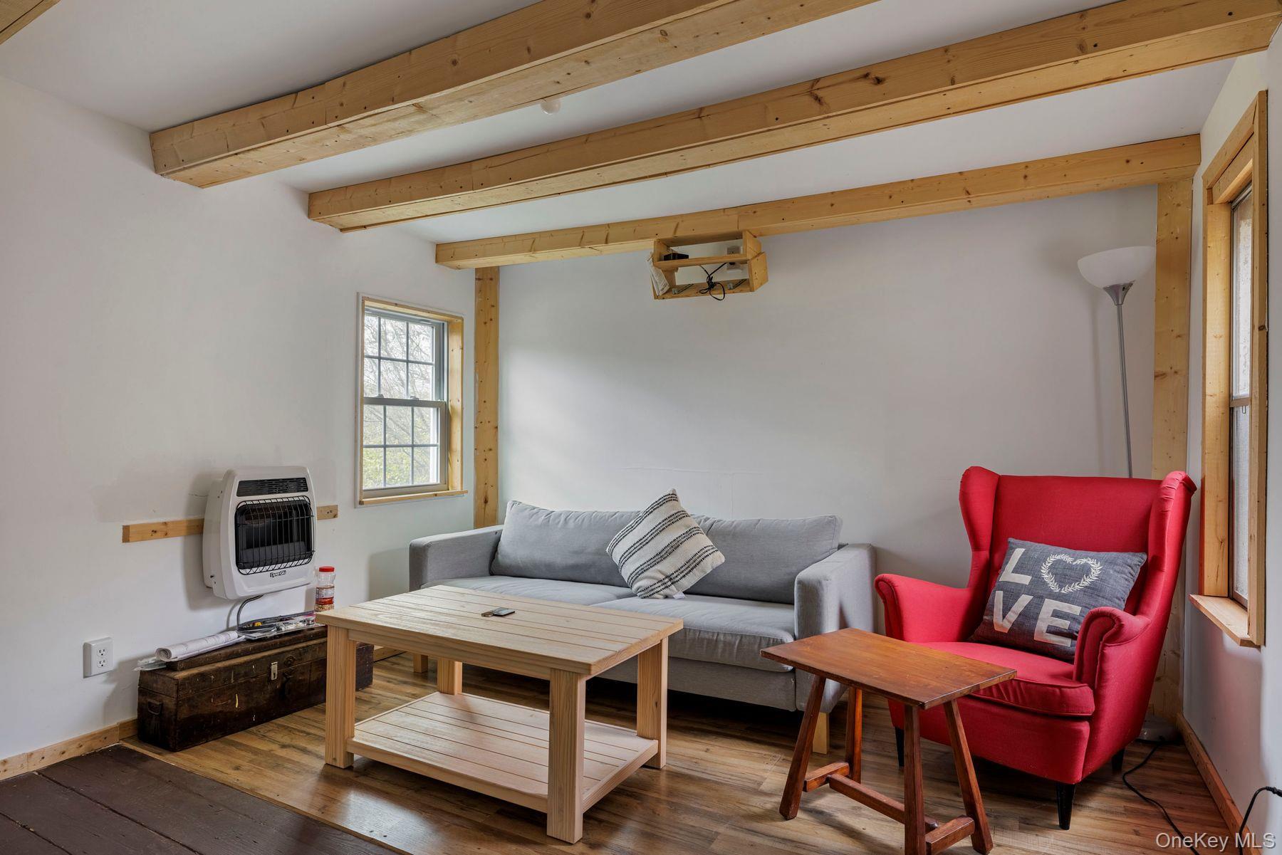 Single Family Mountain  Greene County, NY 12051, MLS-929271-12