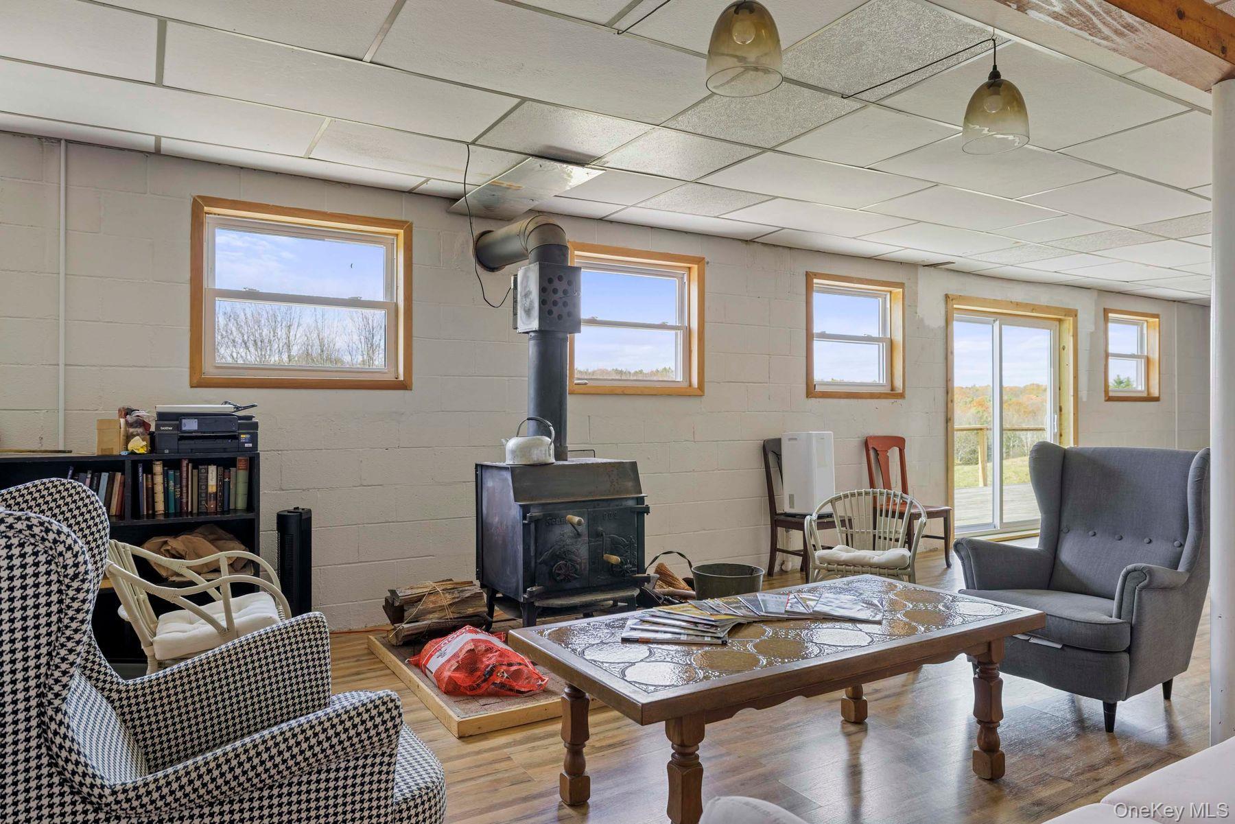 Single Family Mountain  Greene County, NY 12051, MLS-929271-23