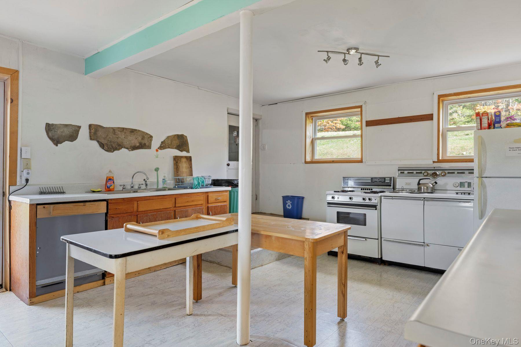 Single Family Mountain  Greene County, NY 12051, MLS-929271-25