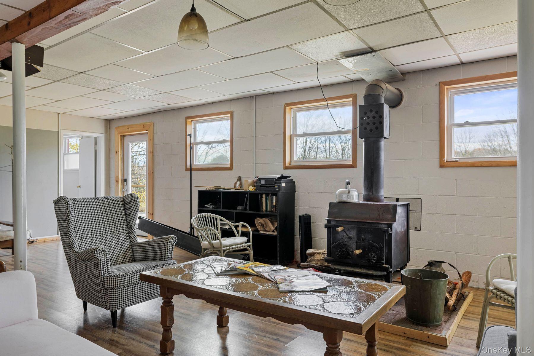 Single Family Mountain  Greene County, NY 12051, MLS-929271-27