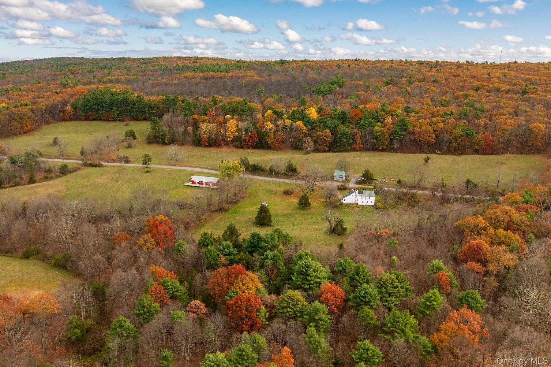 Single Family Mountain  Greene County, NY 12051, MLS-929271-29