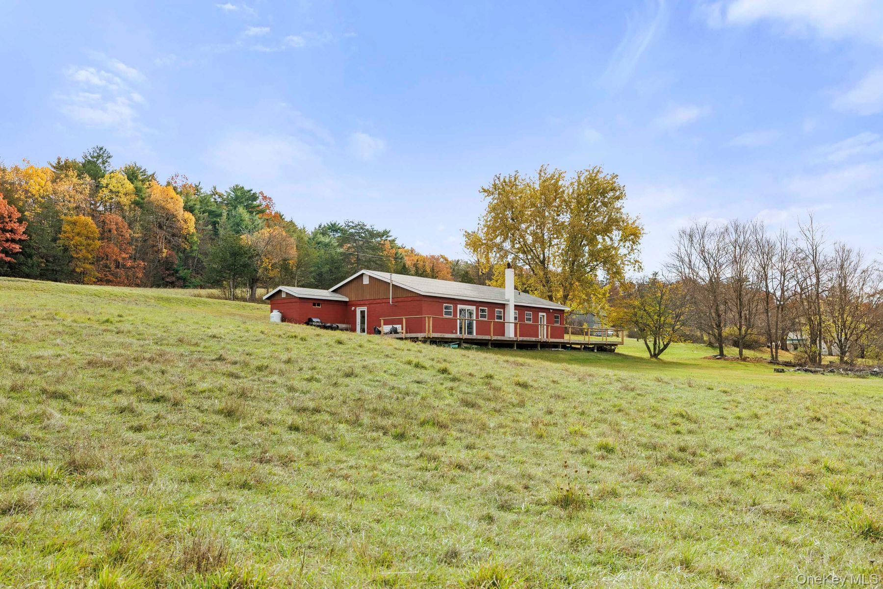 Single Family Mountain  Greene County, NY 12051, MLS-929271-3