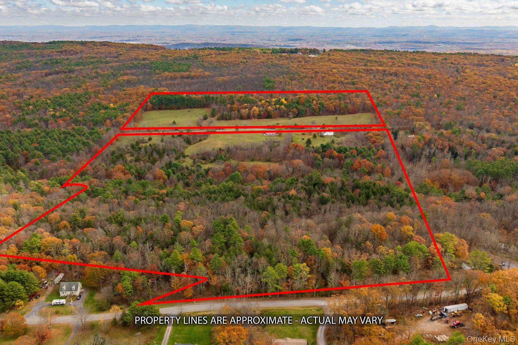 Single Family Mountain  Greene County, NY 12051, MLS-929271-30