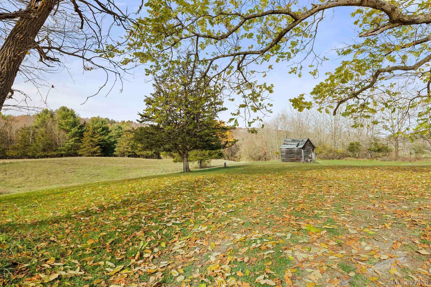 Single Family Mountain  Greene County, NY 12051, MLS-929271-31