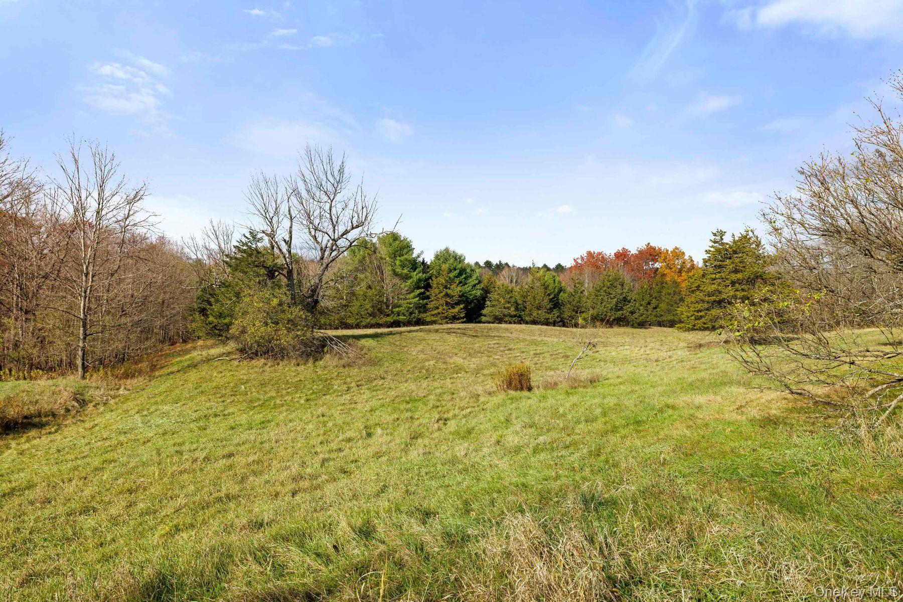 Single Family Mountain  Greene County, NY 12051, MLS-929271-32