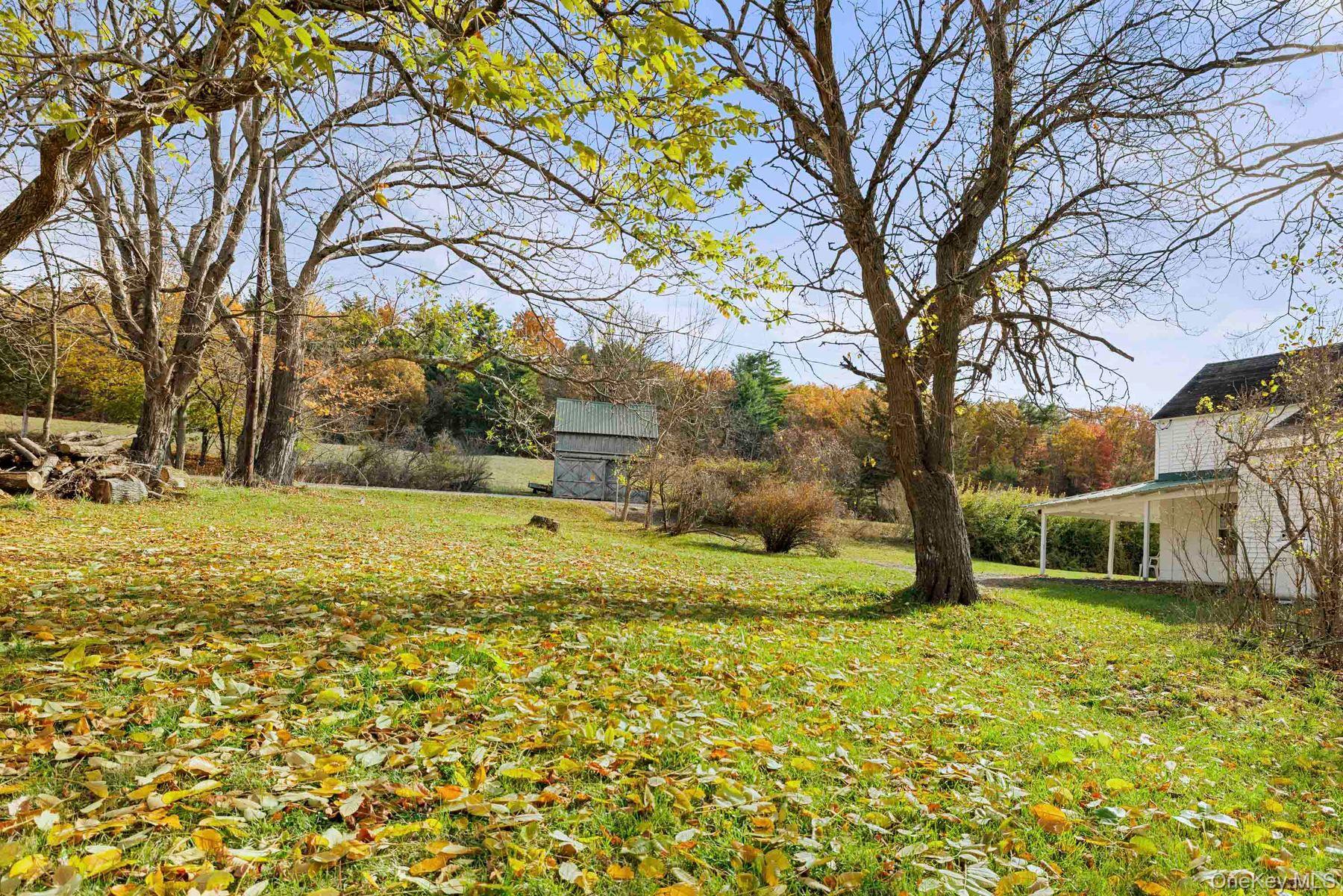 Single Family Mountain  Greene County, NY 12051, MLS-929271-33