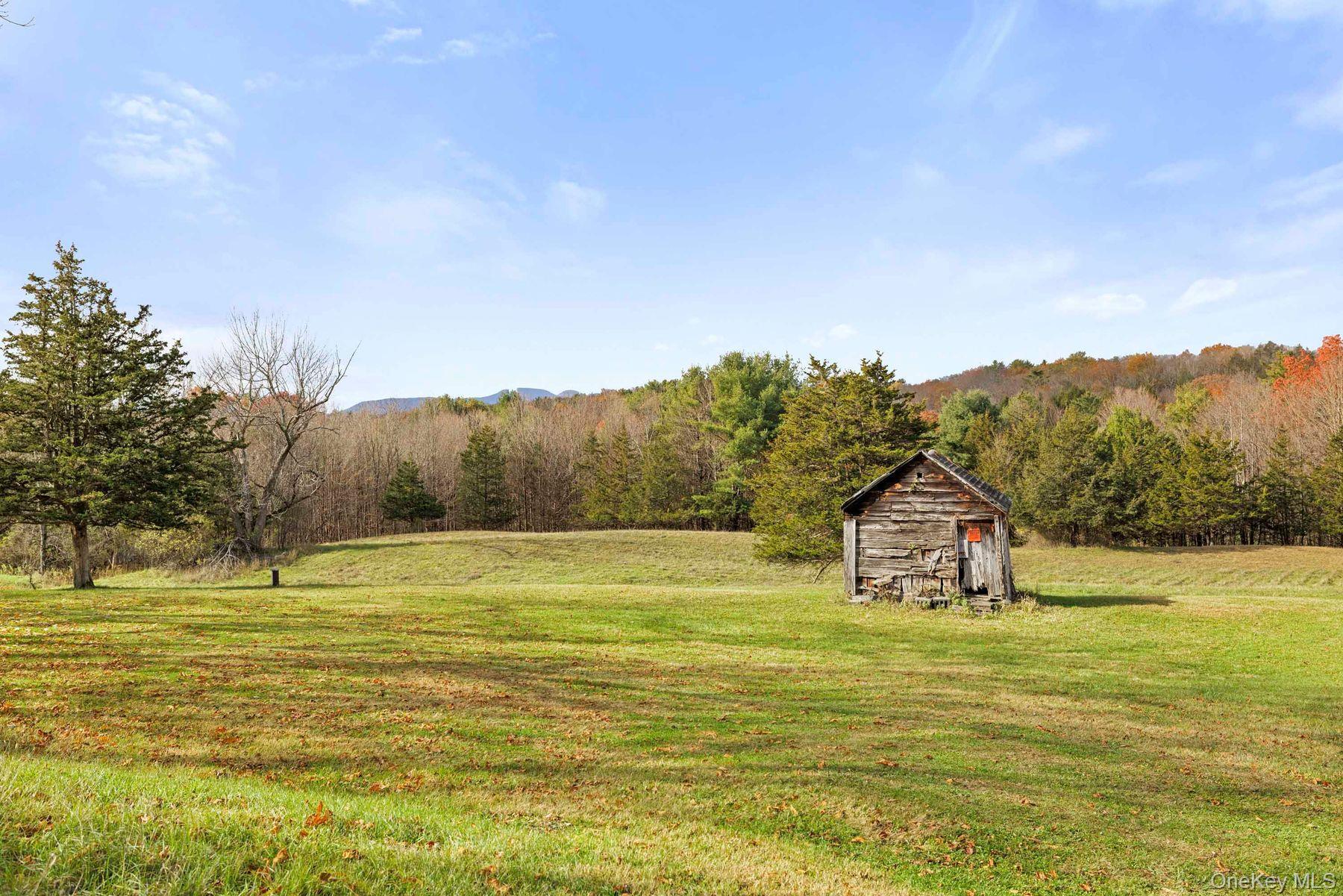 Single Family Mountain  Greene County, NY 12051, MLS-929271-34