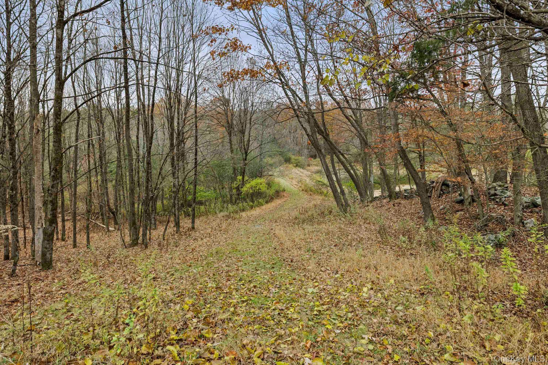 Single Family Mountain  Greene County, NY 12051, MLS-929271-36