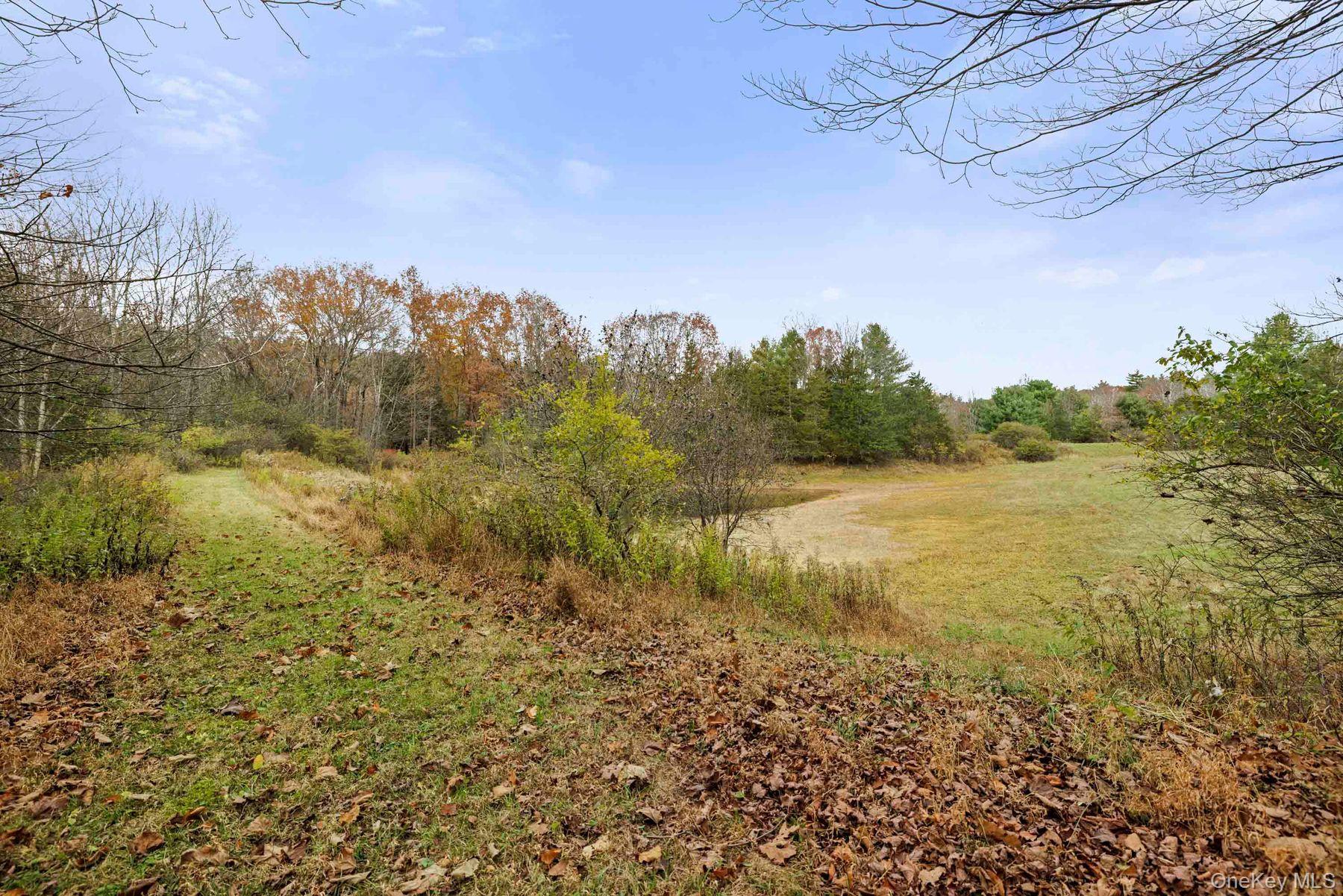 Single Family Mountain  Greene County, NY 12051, MLS-929271-37