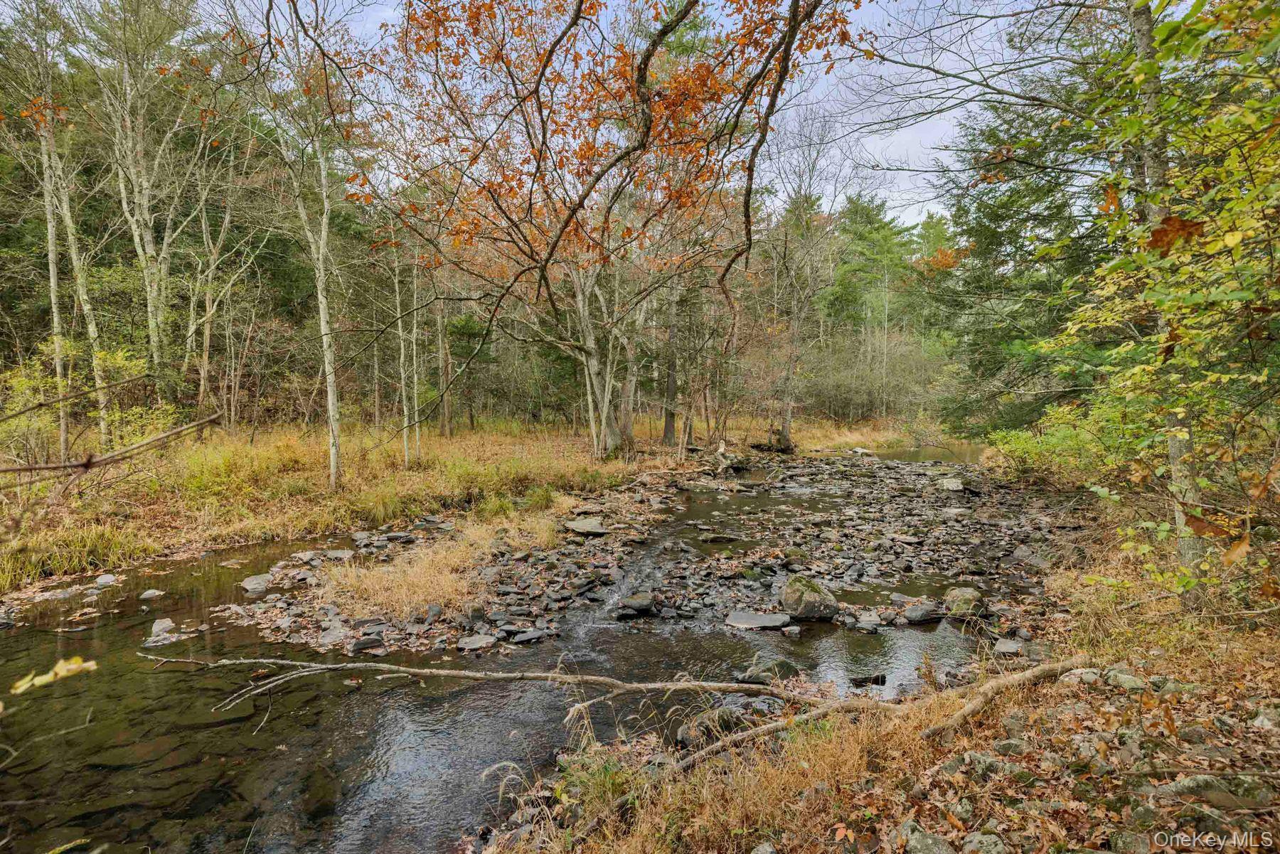 Single Family Mountain  Greene County, NY 12051, MLS-929271-39