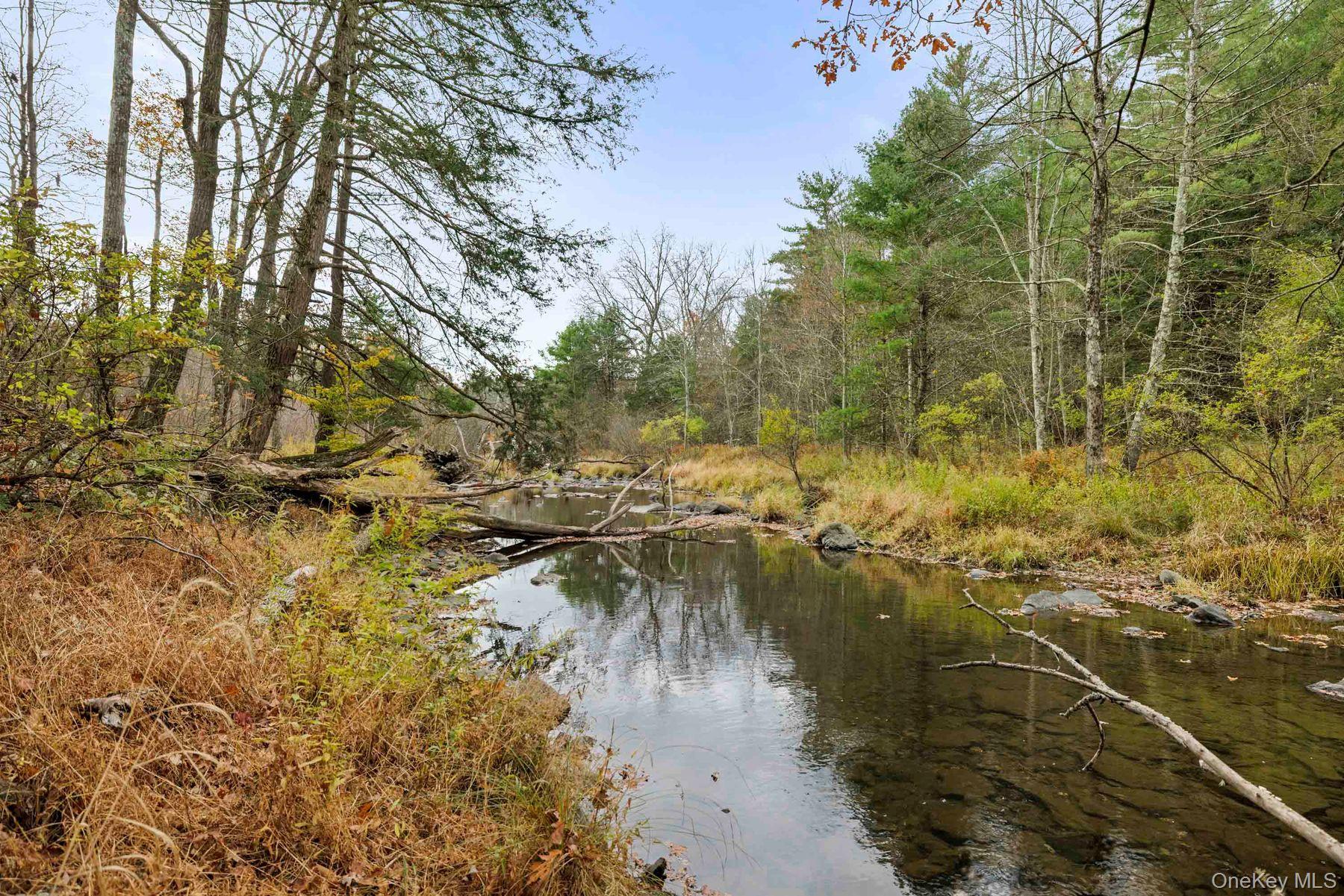 Single Family Mountain  Greene County, NY 12051, MLS-929271-40