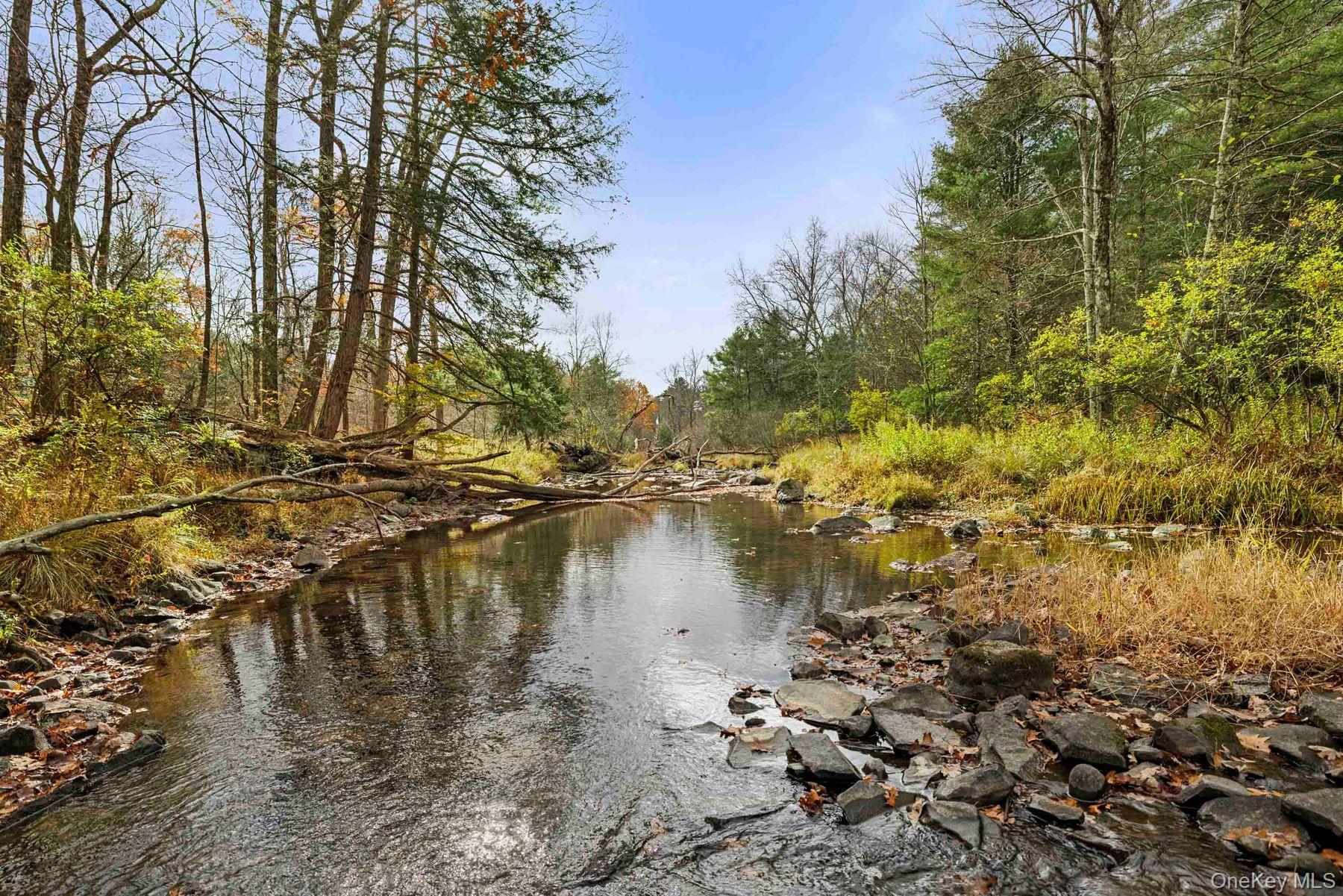 Single Family Mountain  Greene County, NY 12051, MLS-929271-41