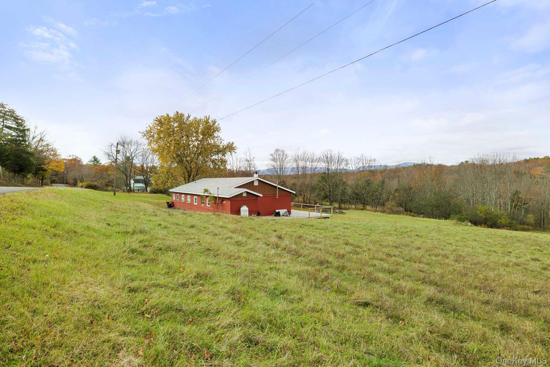 Single Family Mountain  Greene County, NY 12051, MLS-929271-48