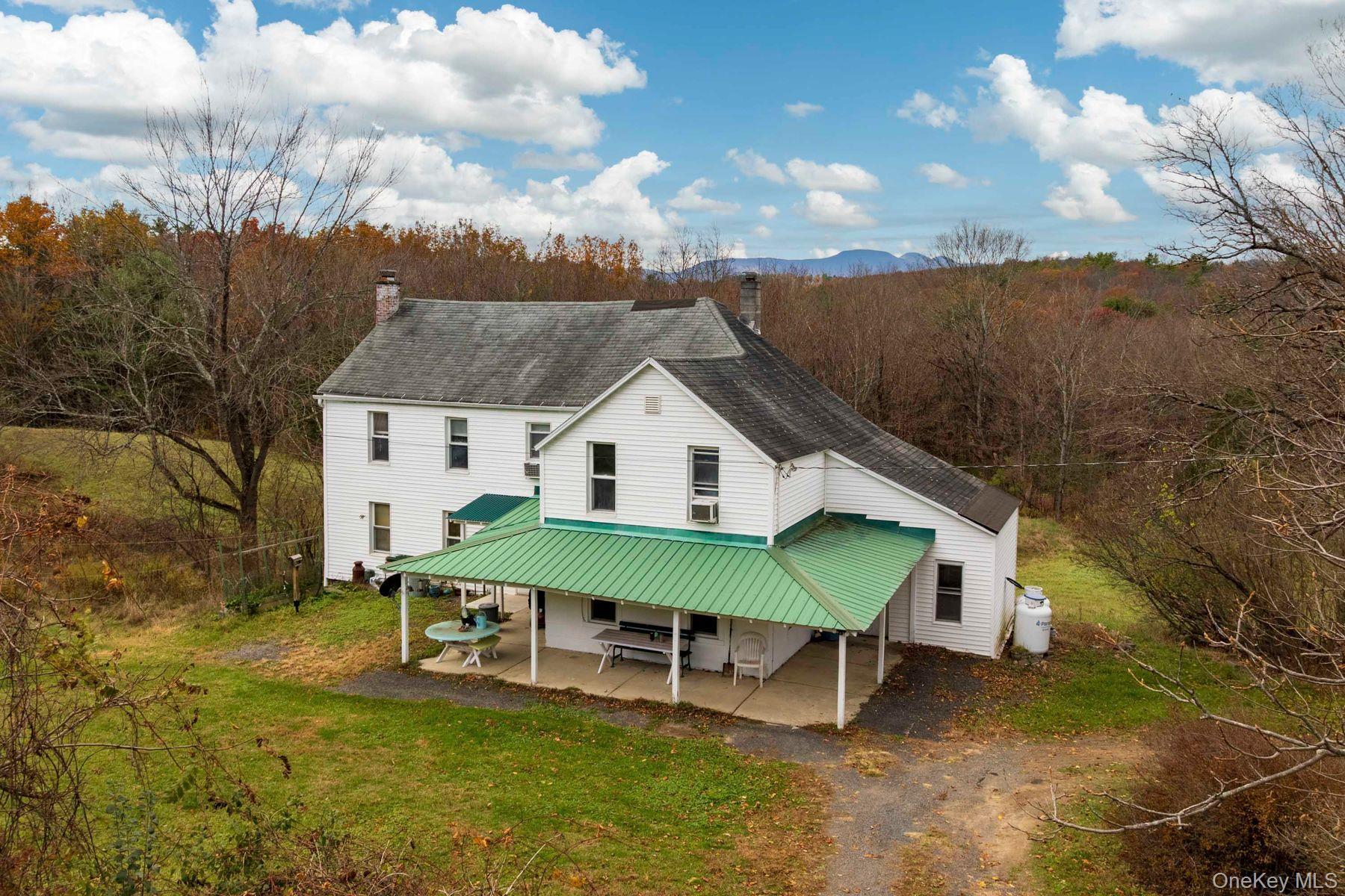 Single Family Mountain  Greene County, NY 12051, MLS-929271-50