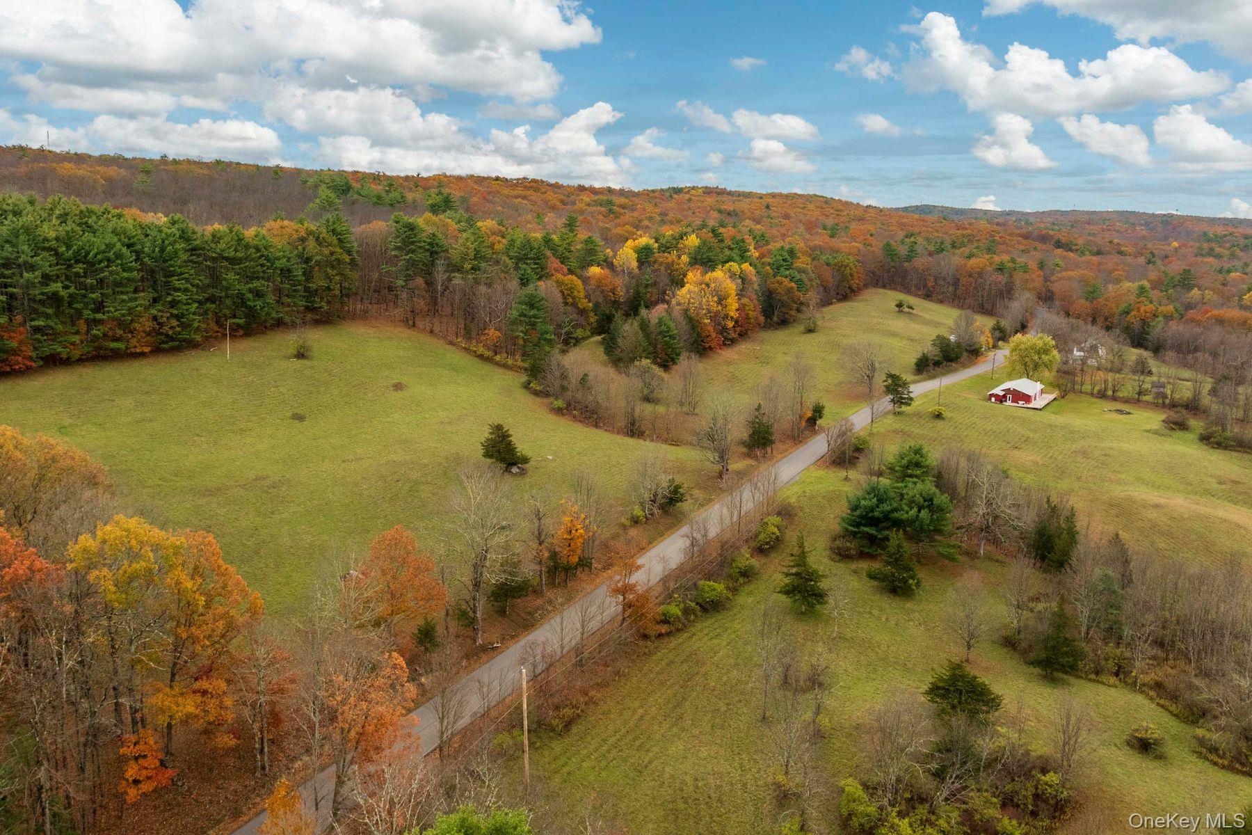 Single Family Mountain  Greene County, NY 12051, MLS-929271-6