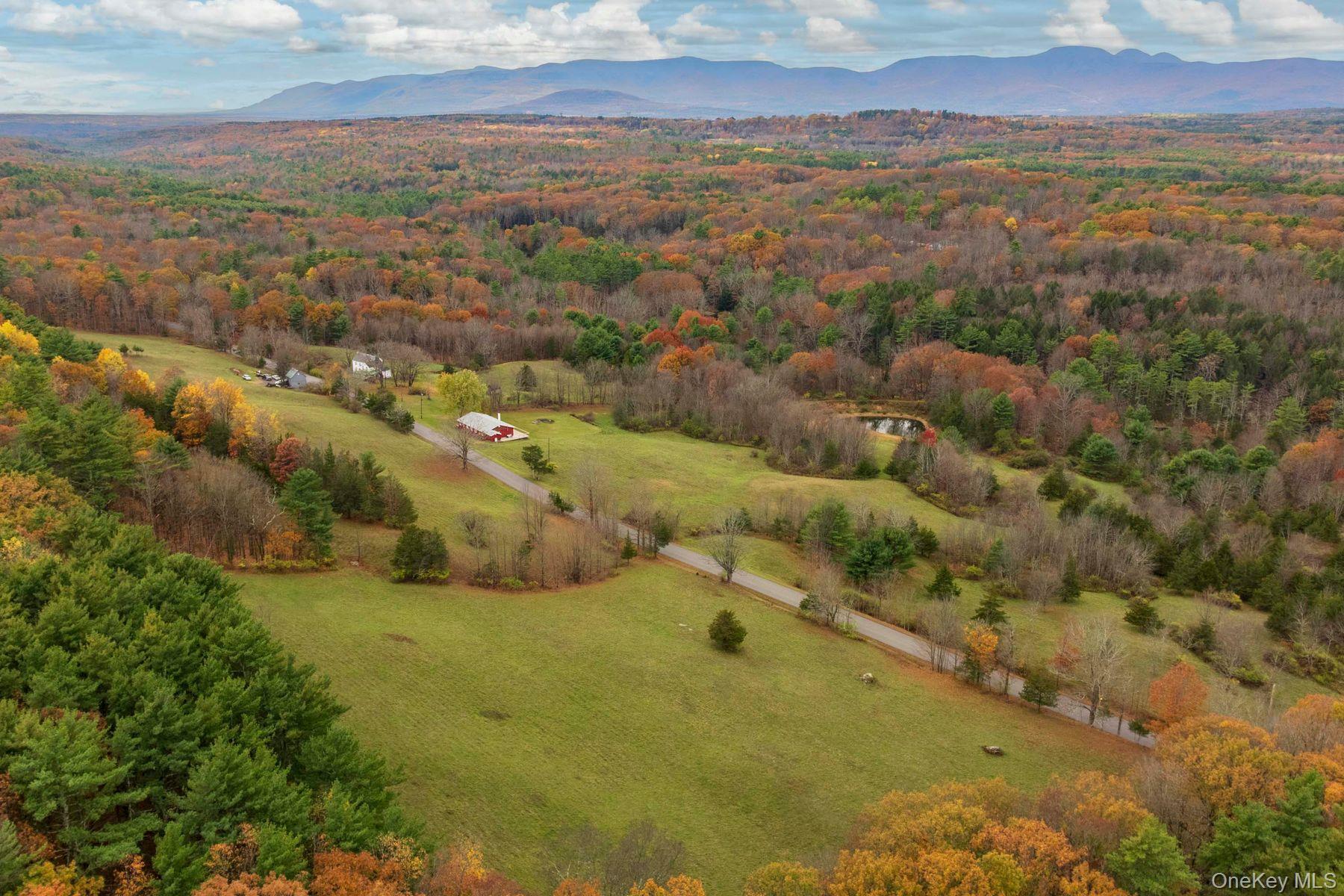 Single Family Mountain  Greene County, NY 12051, MLS-929271-7