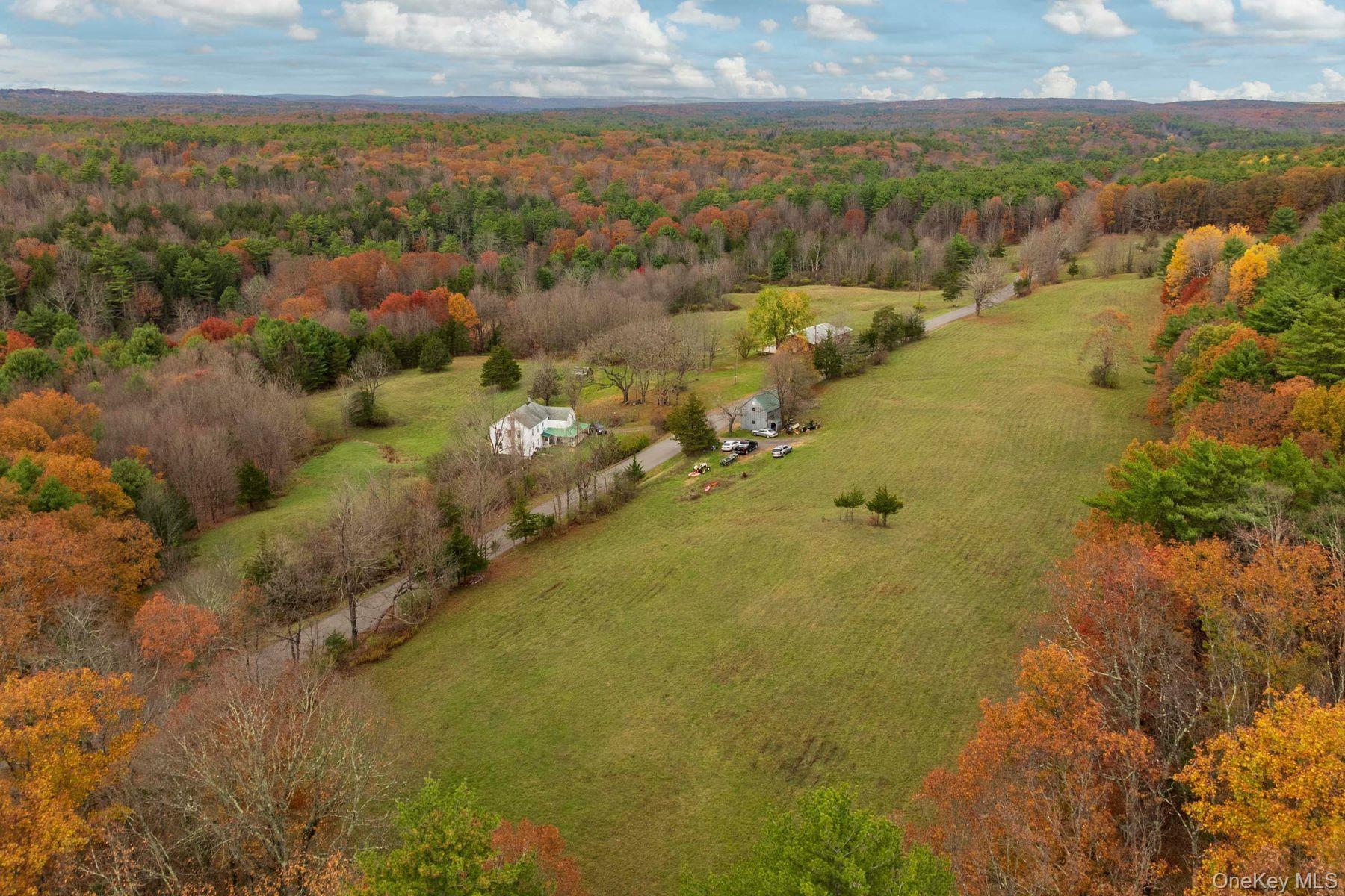 Single Family Mountain  Greene County, NY 12051, MLS-929271-9