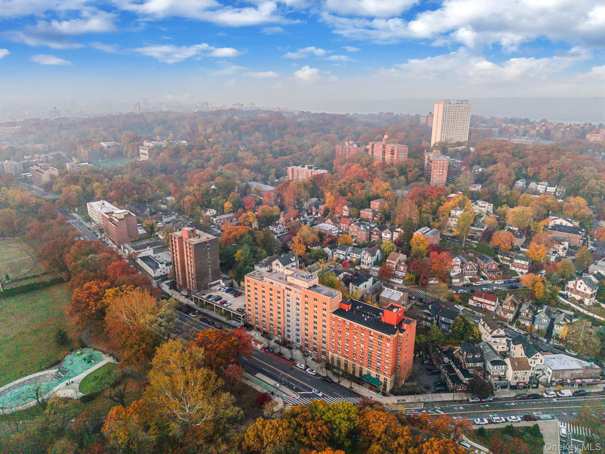 Business Opportunity Broadway  Bronx, NY 10471, MLS-929344-3