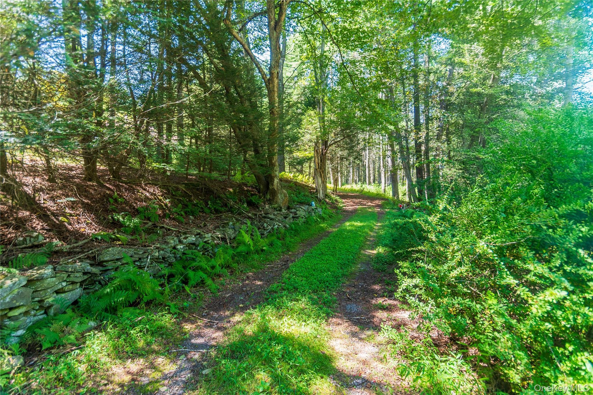 Single Family Hillside Sullivan County, NY 12719, MLS-929416-33