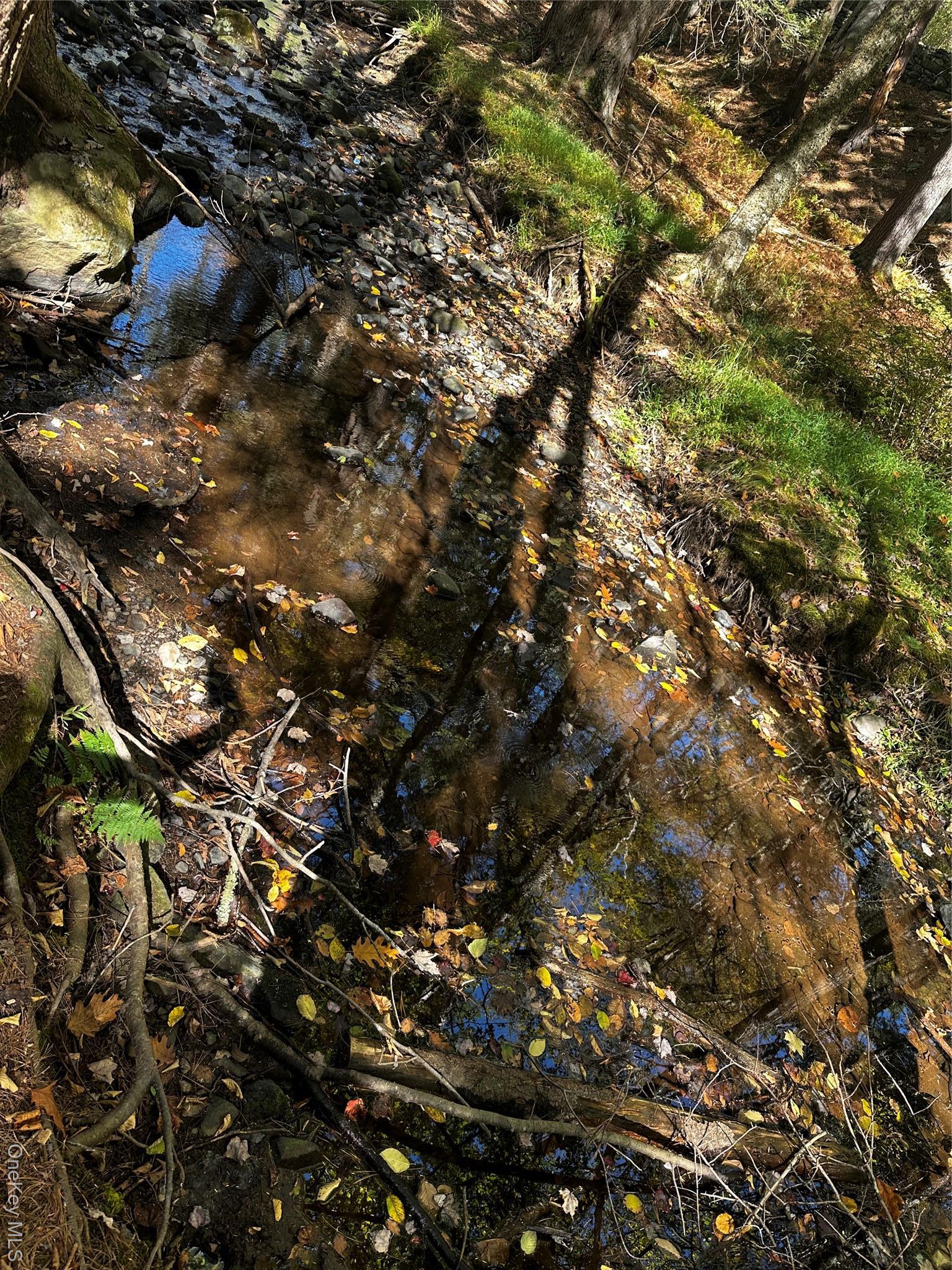 Single Family Hillside Sullivan County, NY 12719, MLS-929416-34