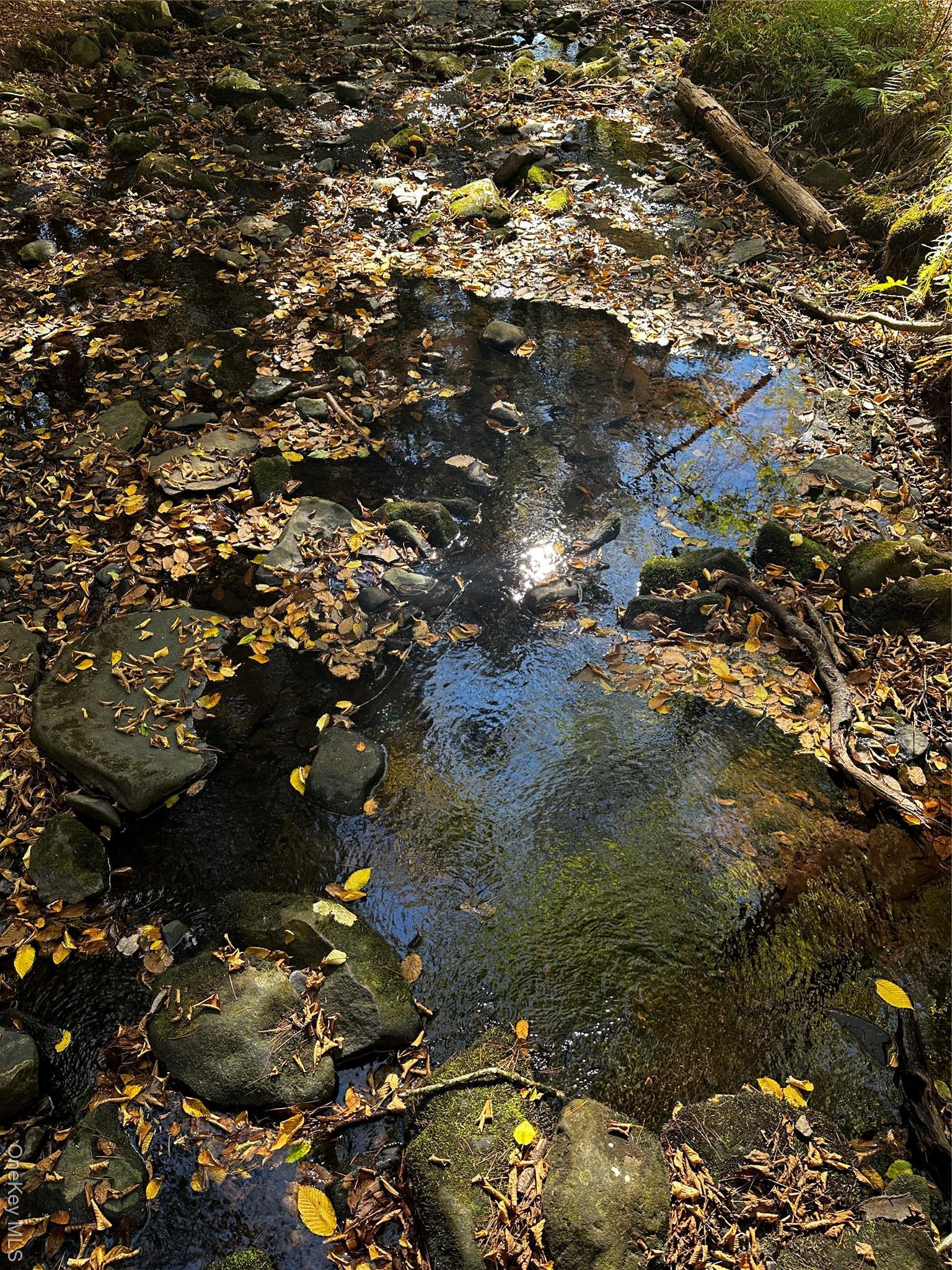 Single Family Hillside Sullivan County, NY 12719, MLS-929416-4