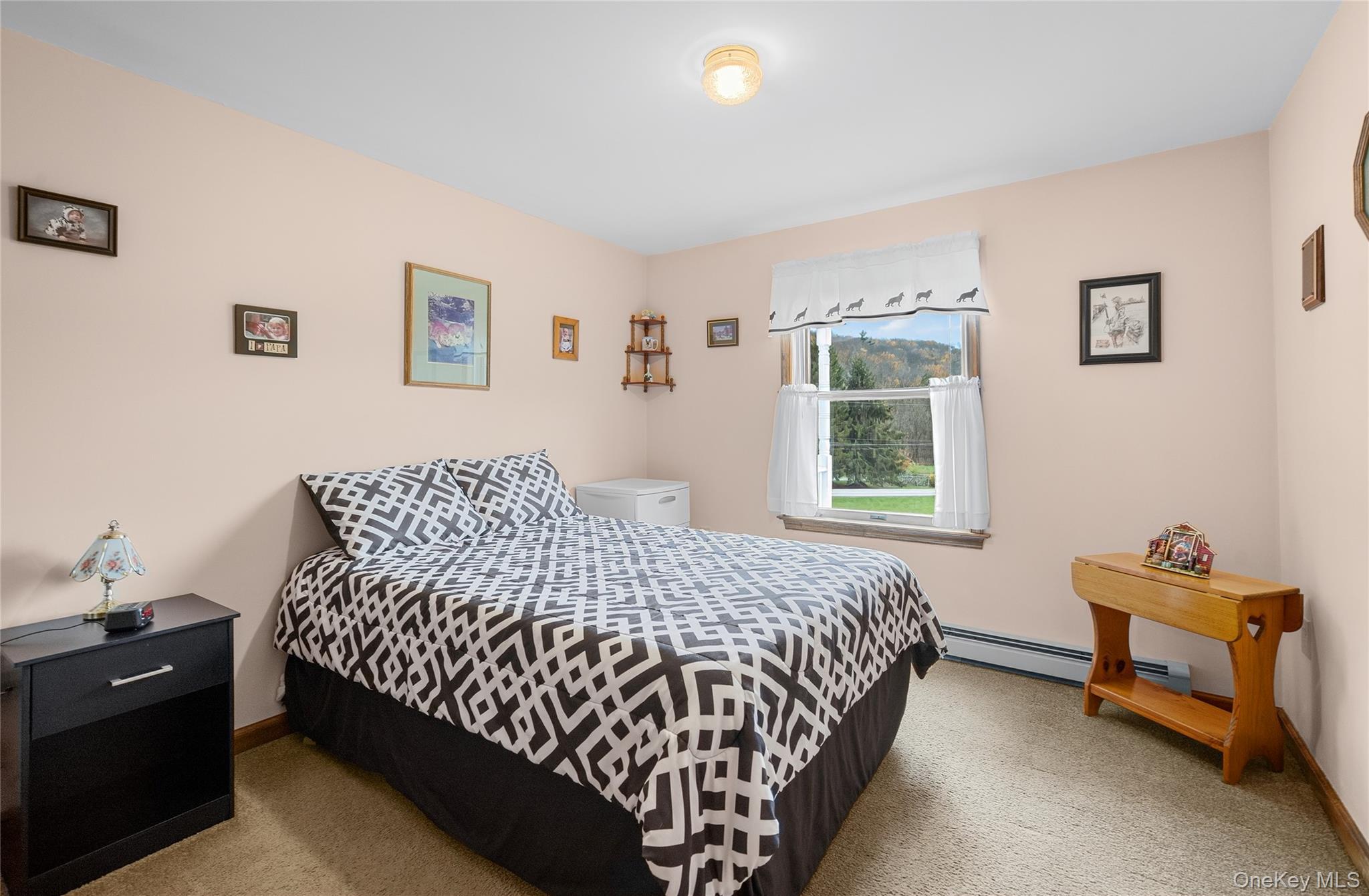 Single Family County Road 95 Sullivan County, NY 12766, MLS-929439-27