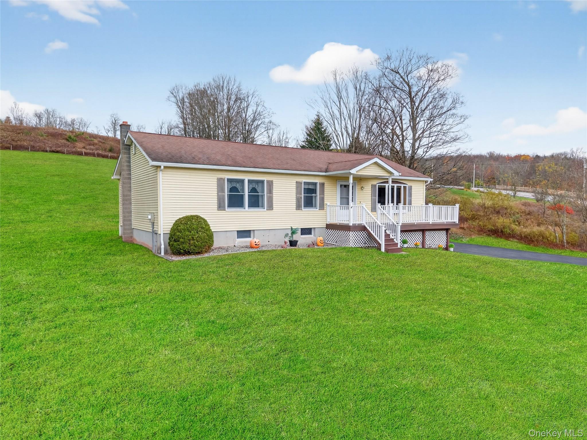 Single Family County Road 95 Sullivan County, NY 12766, MLS-929439-5