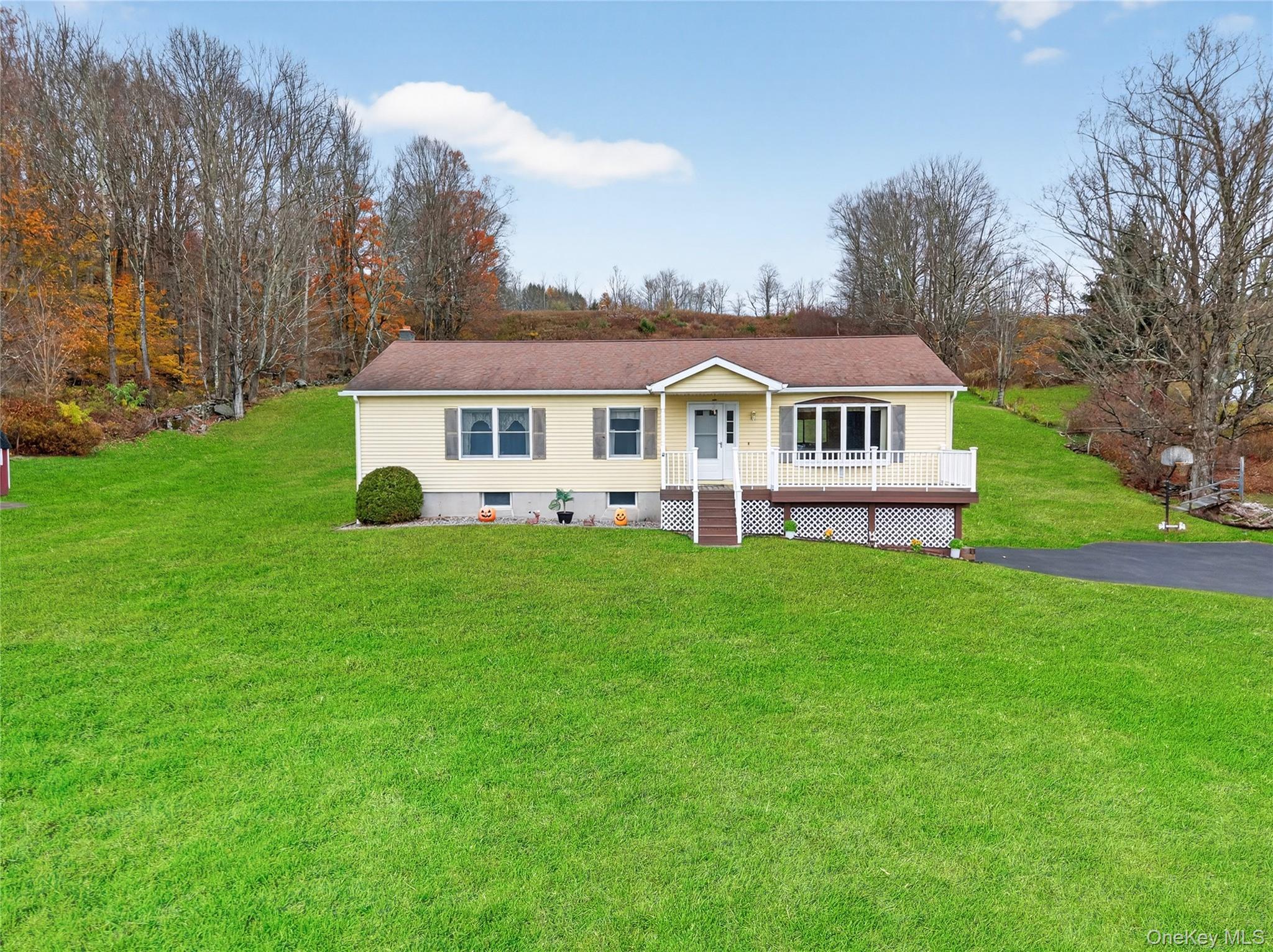 Single Family County Road 95 Sullivan County, NY 12766, MLS-929439-7