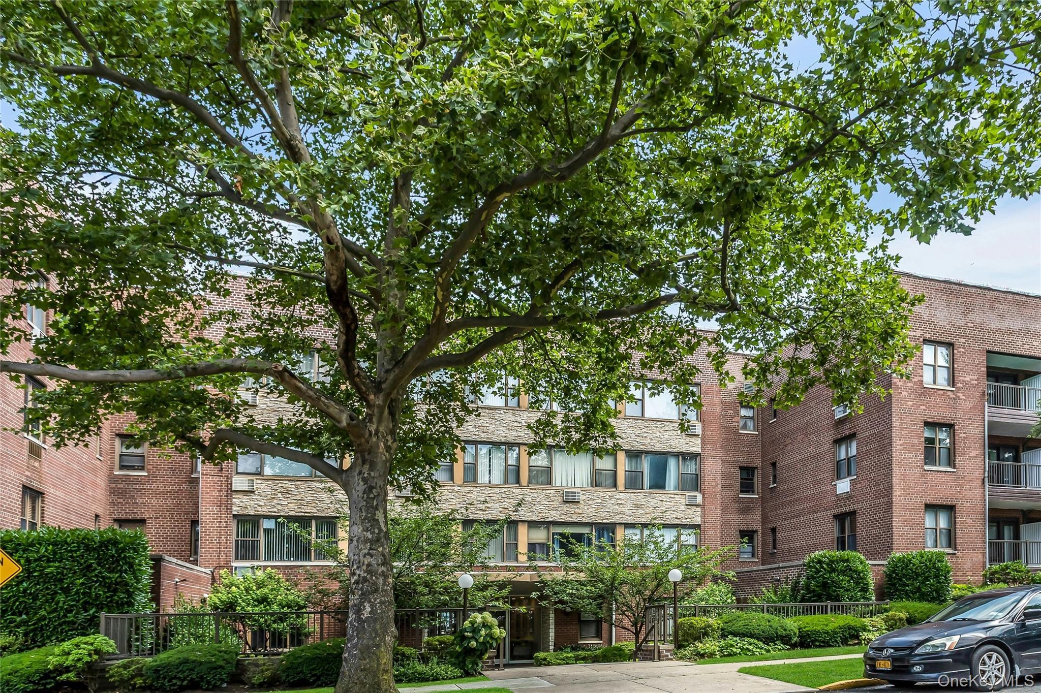 Coop Hill Park Ave Nassau County, NY 11021, MLS-929495-3