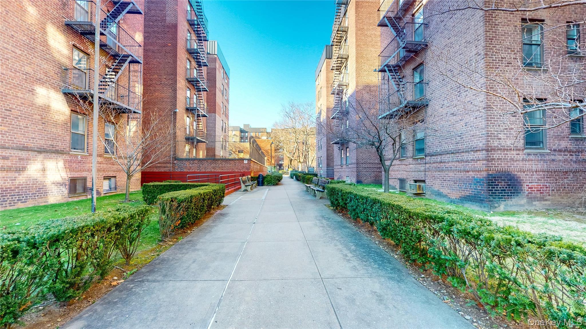 Coop Bragg  Brooklyn, NY 11229, MLS-929566-16