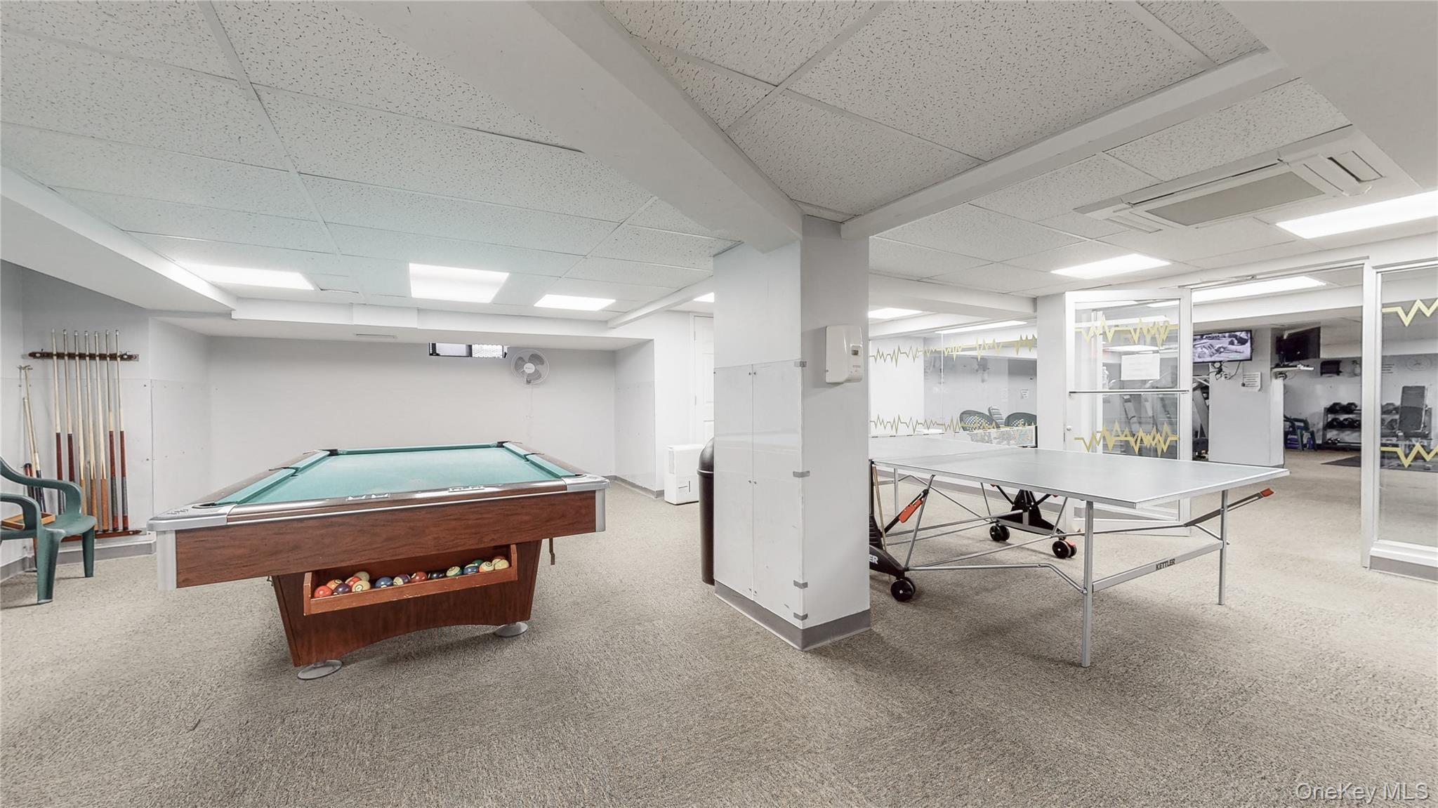 Coop Bragg  Brooklyn, NY 11229, MLS-929566-18