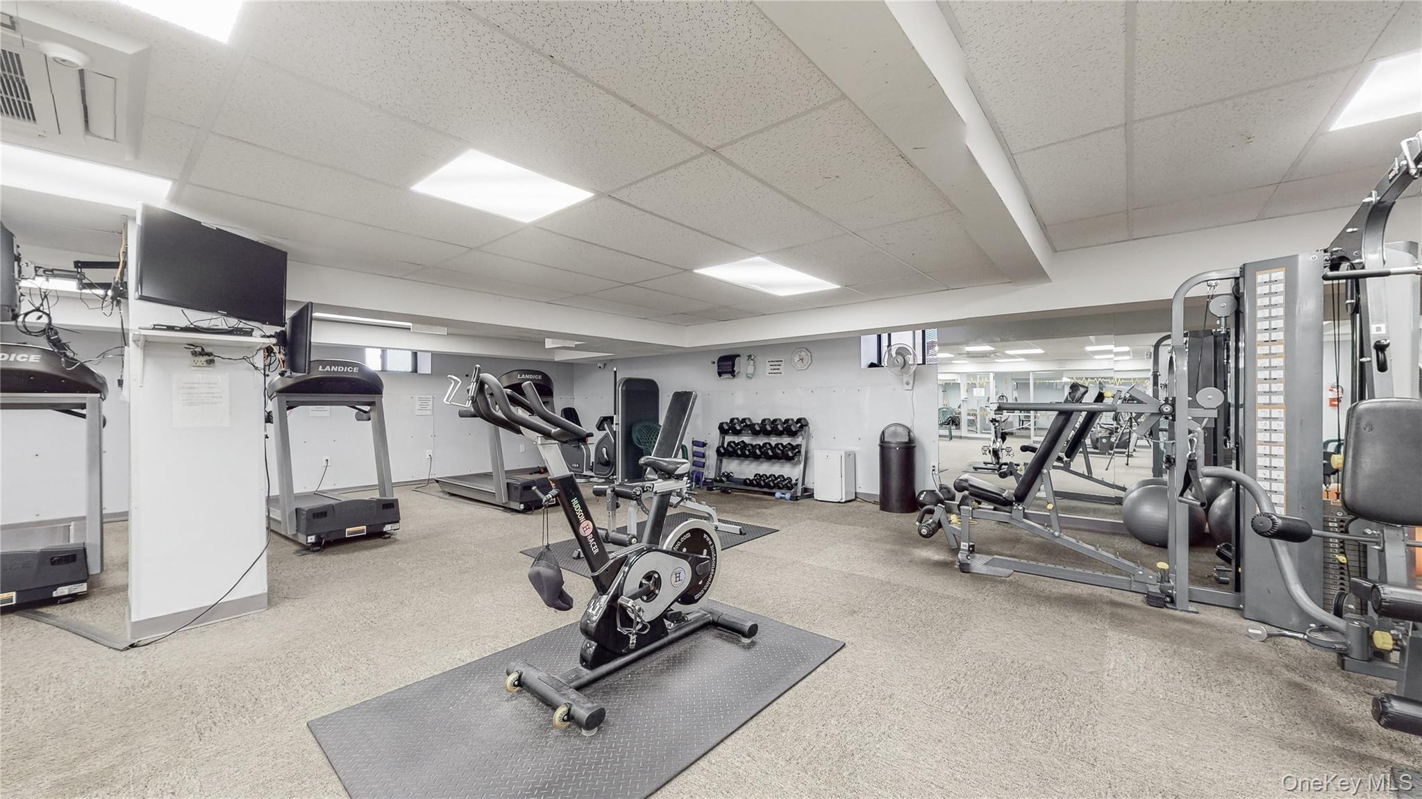 Coop Bragg  Brooklyn, NY 11229, MLS-929566-19