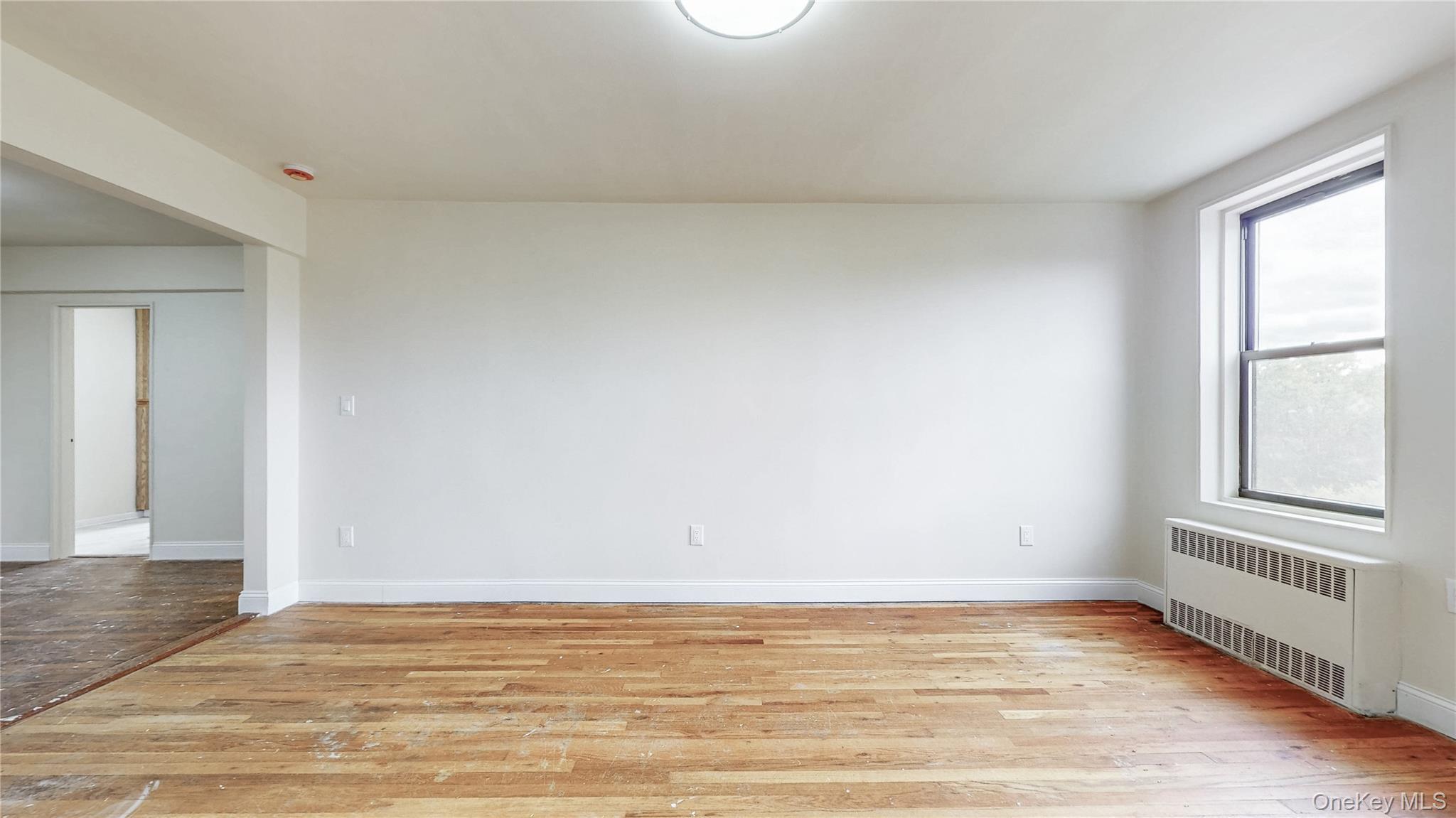 Coop Bragg  Brooklyn, NY 11229, MLS-929566-3
