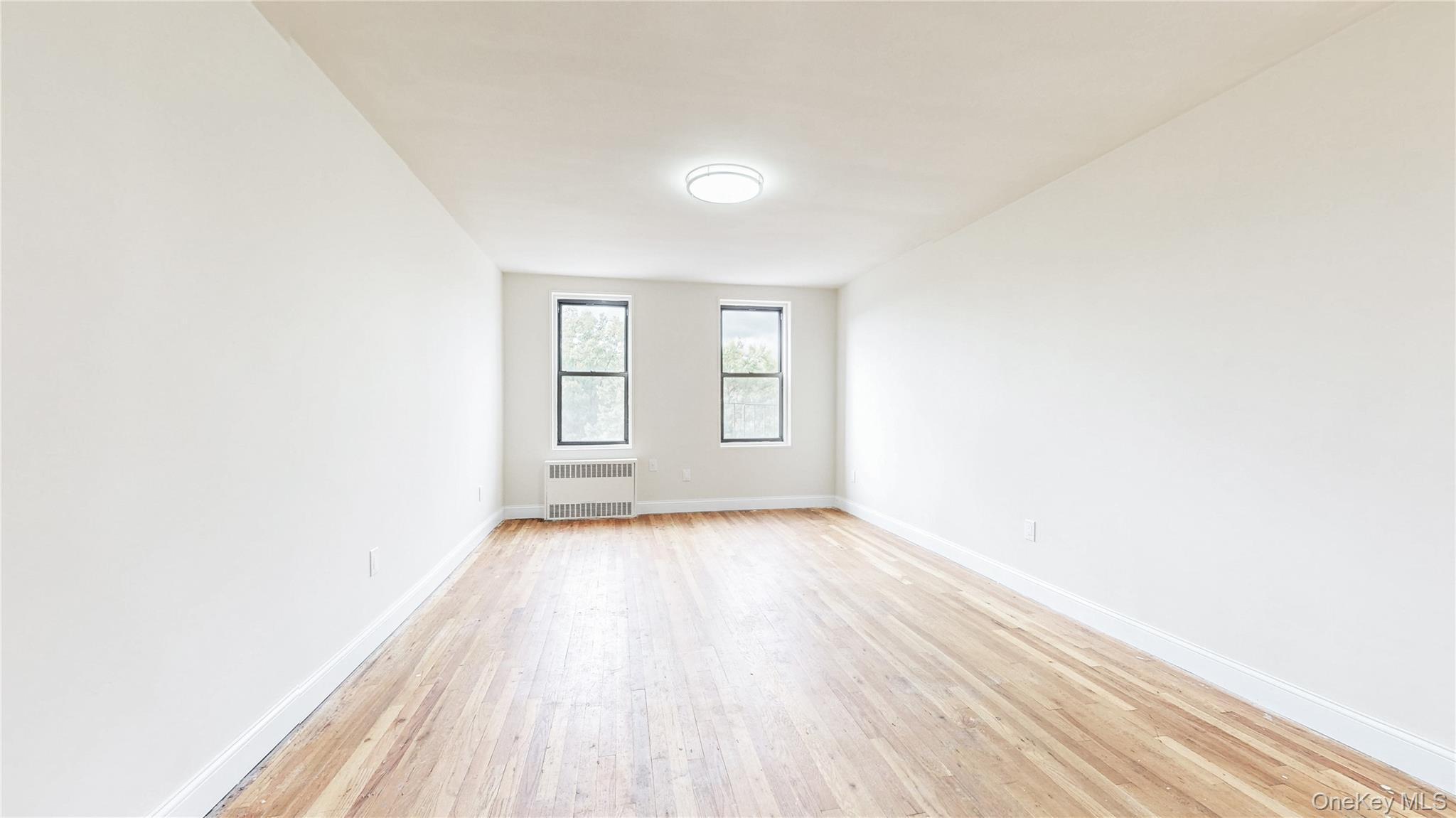 Coop Bragg  Brooklyn, NY 11229, MLS-929566-4