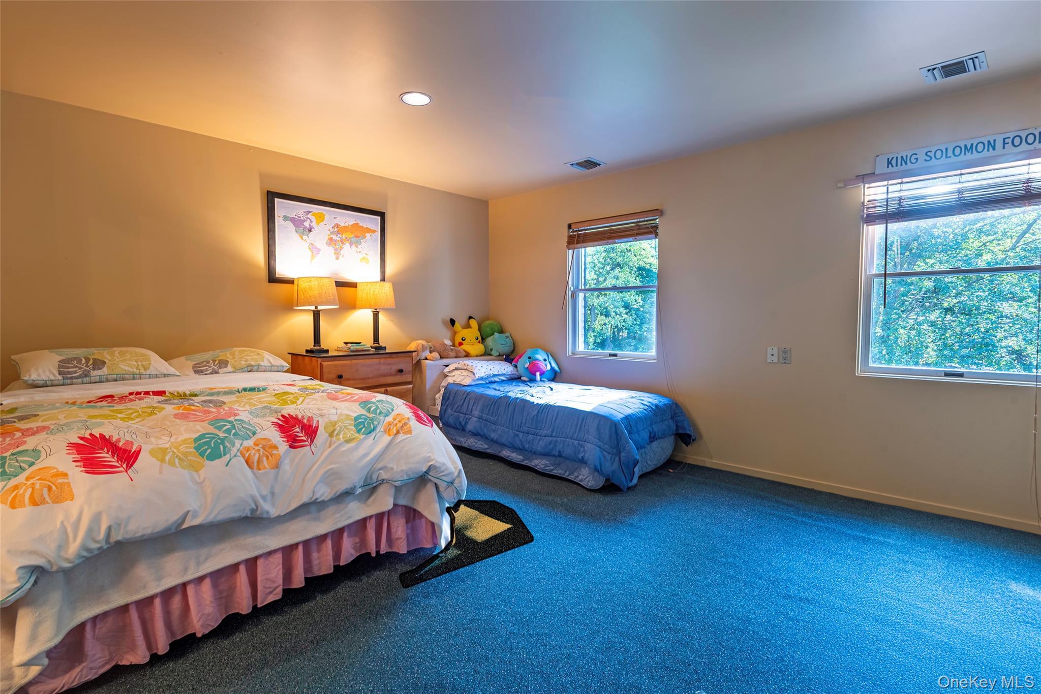 Single Family Remsens  Nassau County, NY 11771, MLS-929580-28