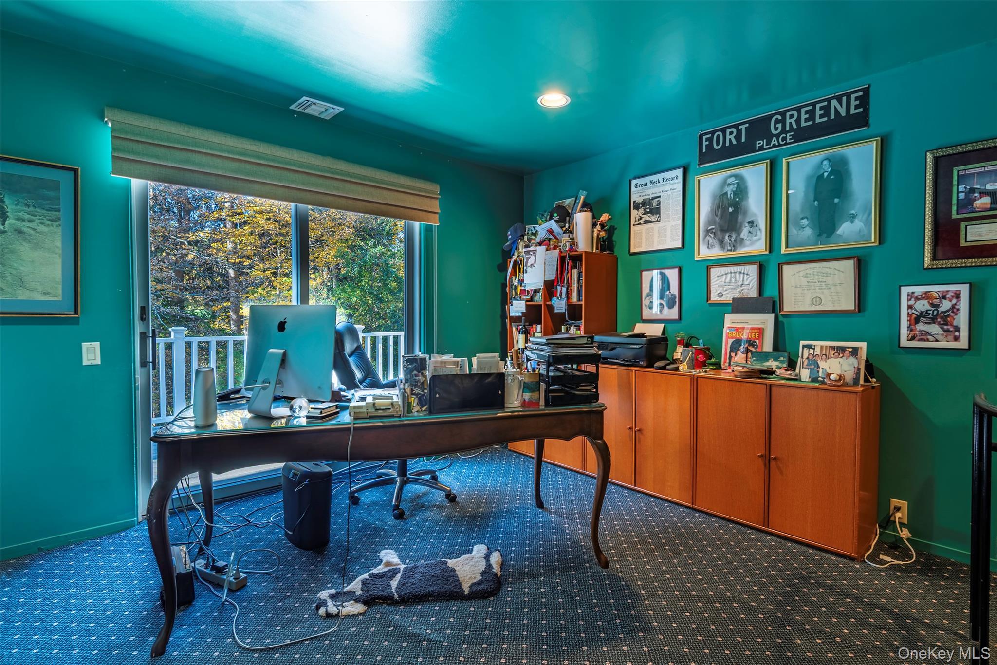 Single Family Remsens  Nassau County, NY 11771, MLS-929580-32