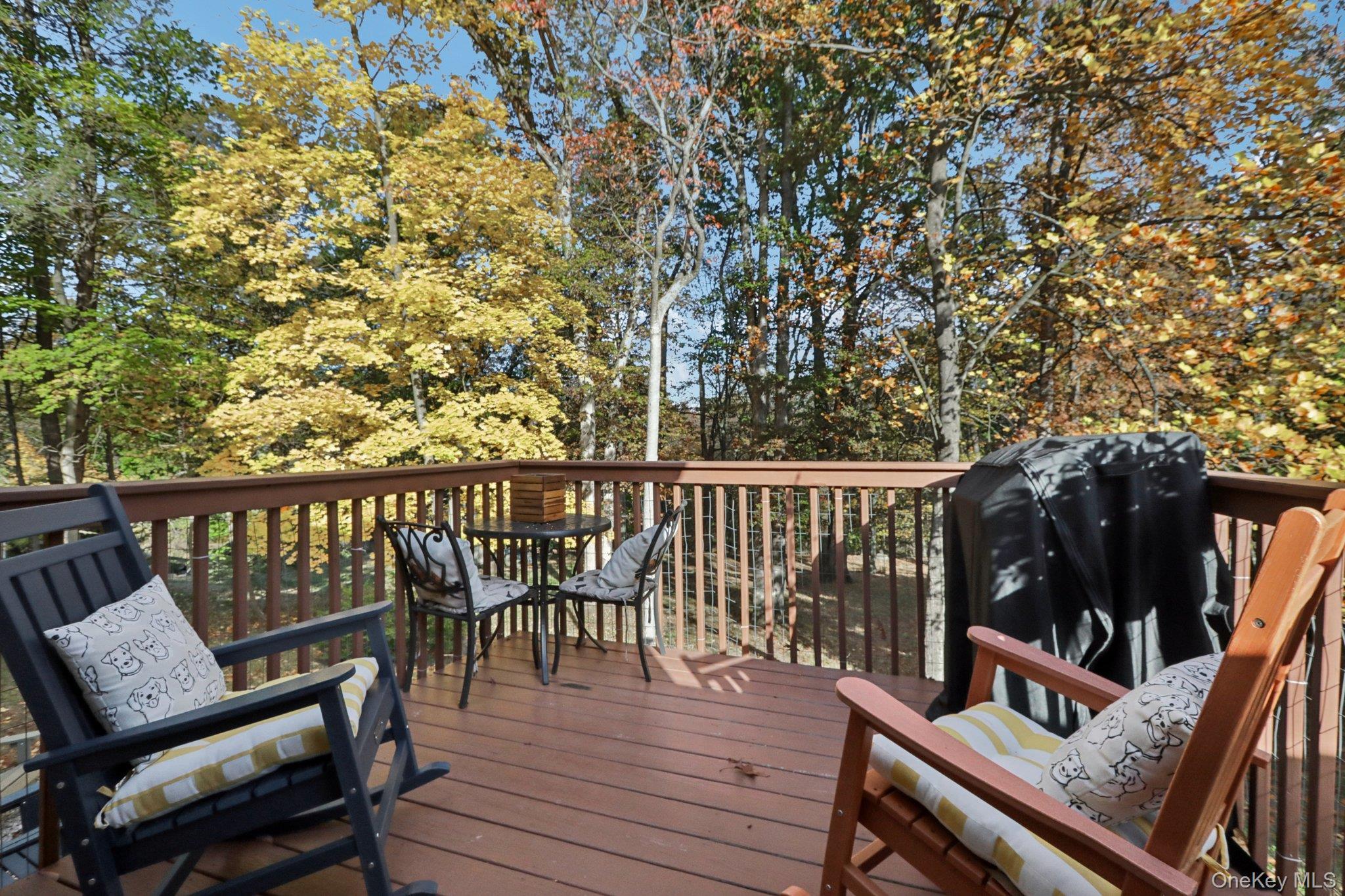 Single Family Cara  Rockland County, NY 10965, MLS-929605-13