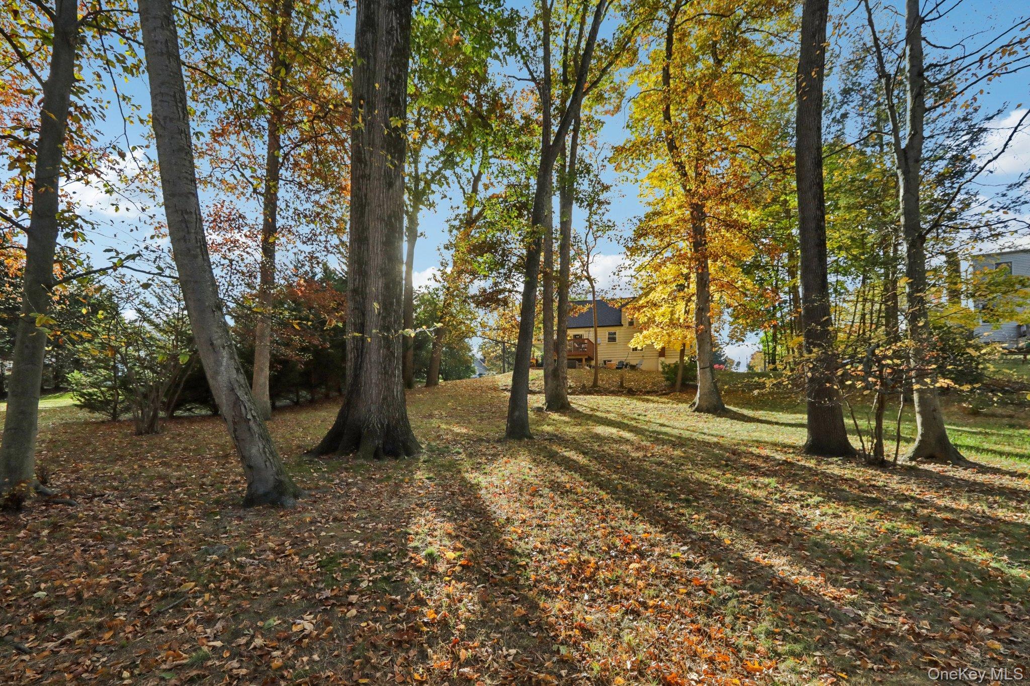 Single Family Cara  Rockland County, NY 10965, MLS-929605-29