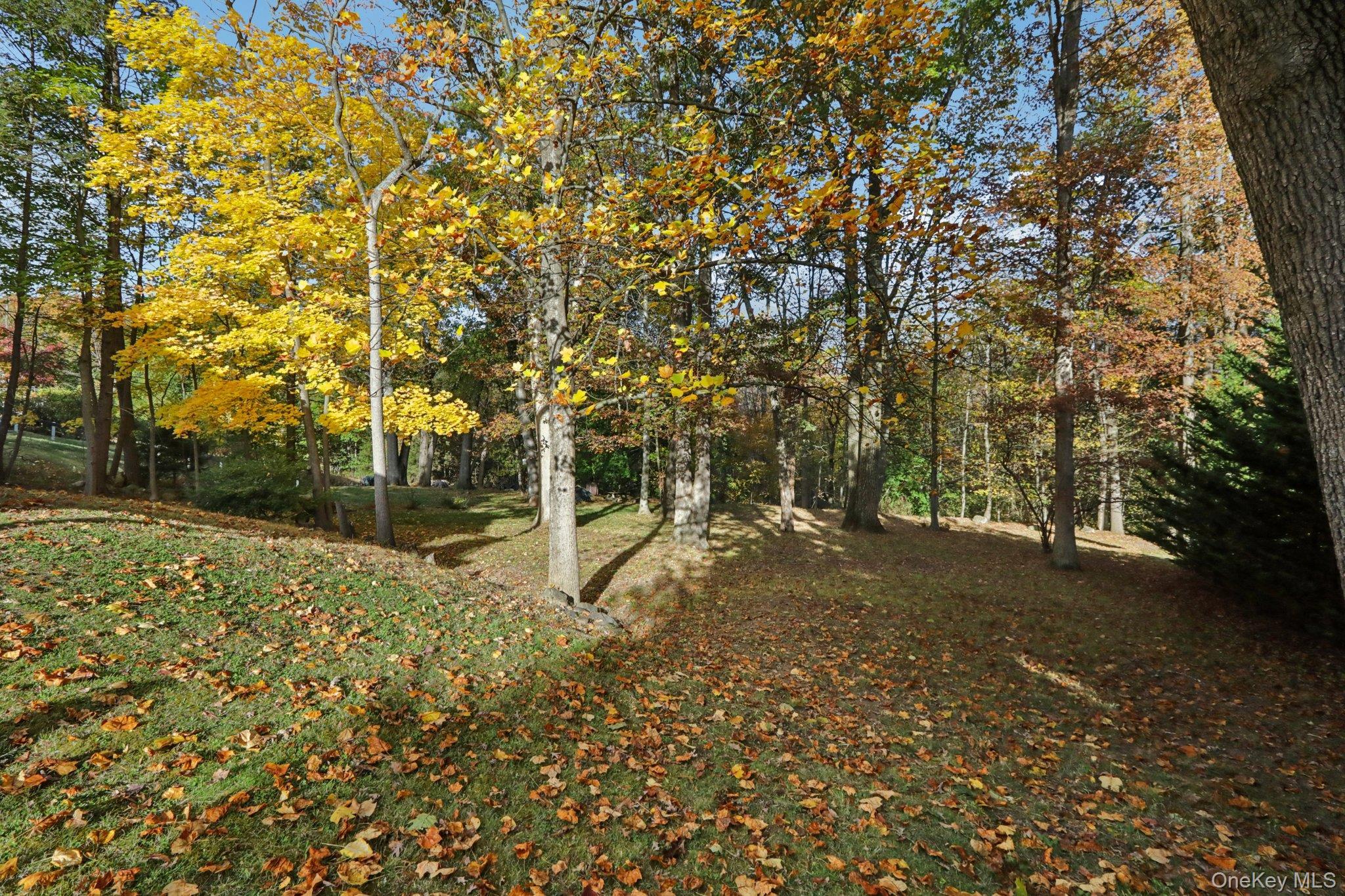 Single Family Cara  Rockland County, NY 10965, MLS-929605-31